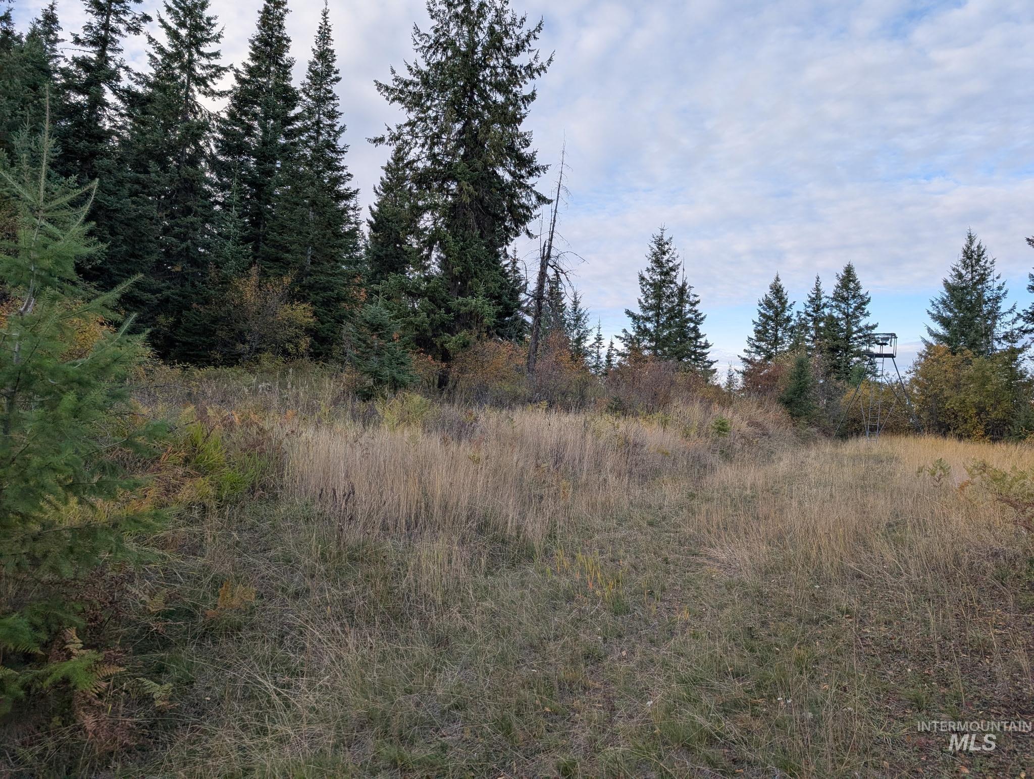 000 Bear Lane, Kooskia, Idaho 83539, Land For Sale, Price $259,000,MLS 98966731