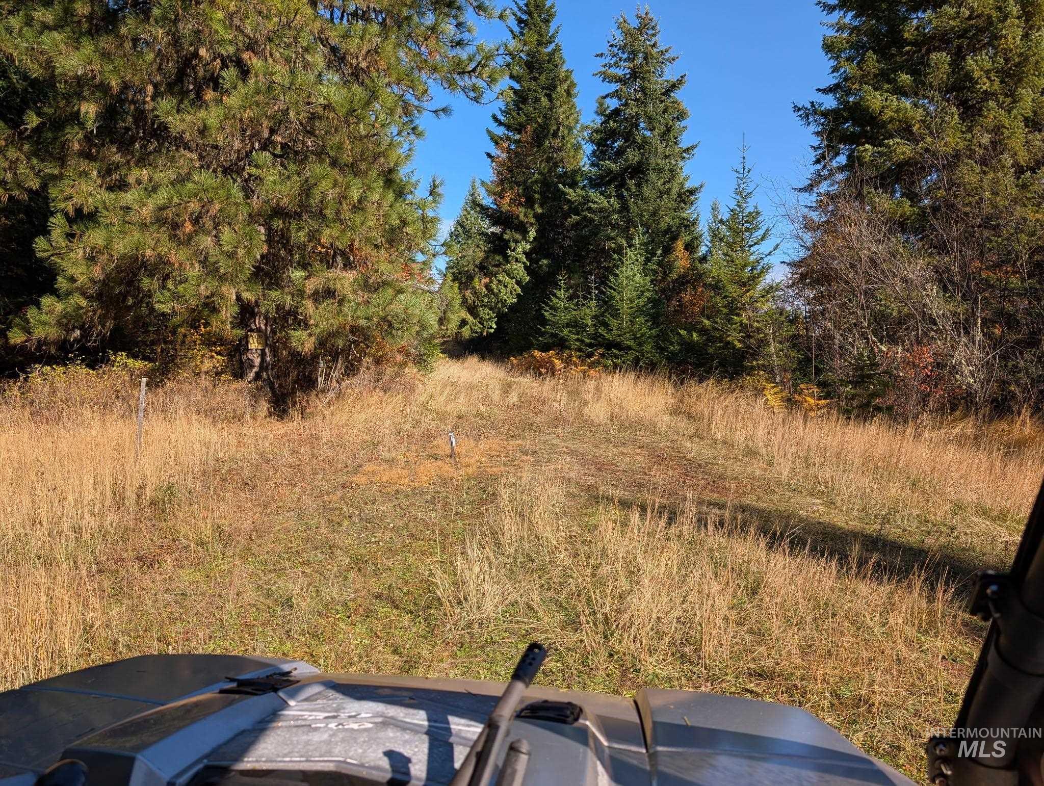 000 Bear Lane, Kooskia, Idaho 83539, Land For Sale, Price $259,000,MLS 98966731