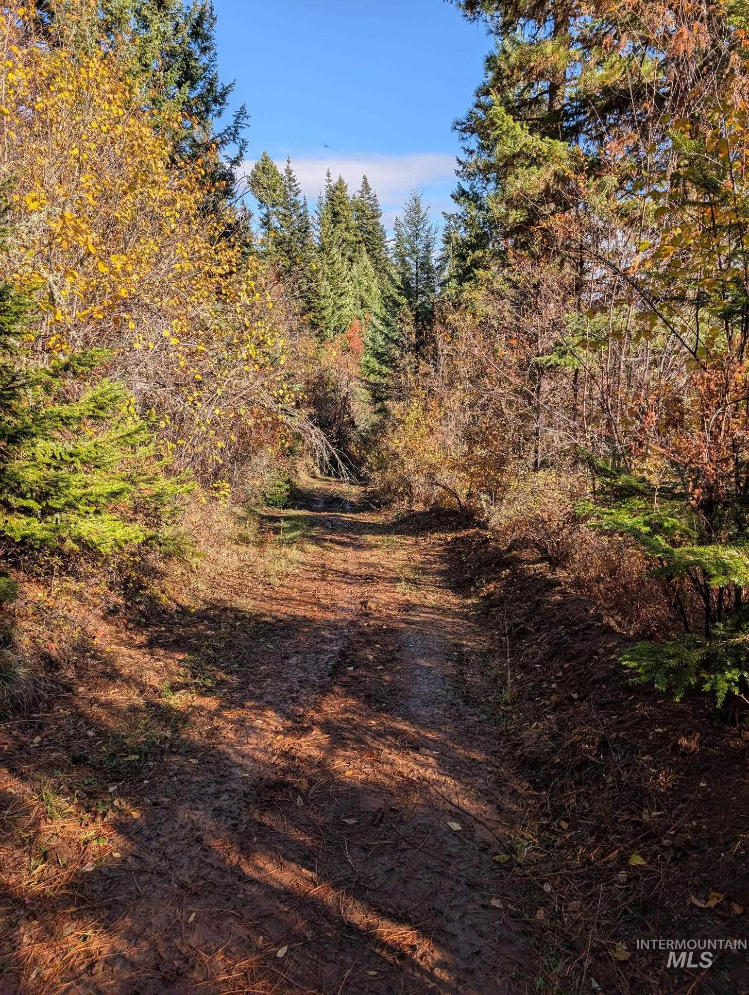 000 Bear Lane, Kooskia, Idaho 83539, Land For Sale, Price $259,000,MLS 98966731