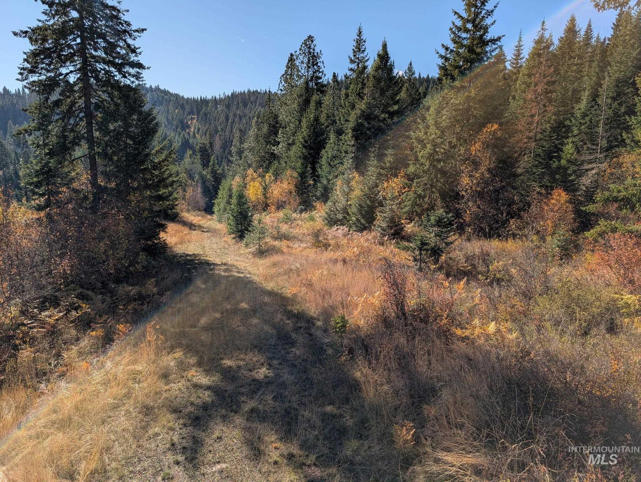 000 Bear Lane, Kooskia, Idaho 83539, Land For Sale, Price $259,000,MLS 98966731