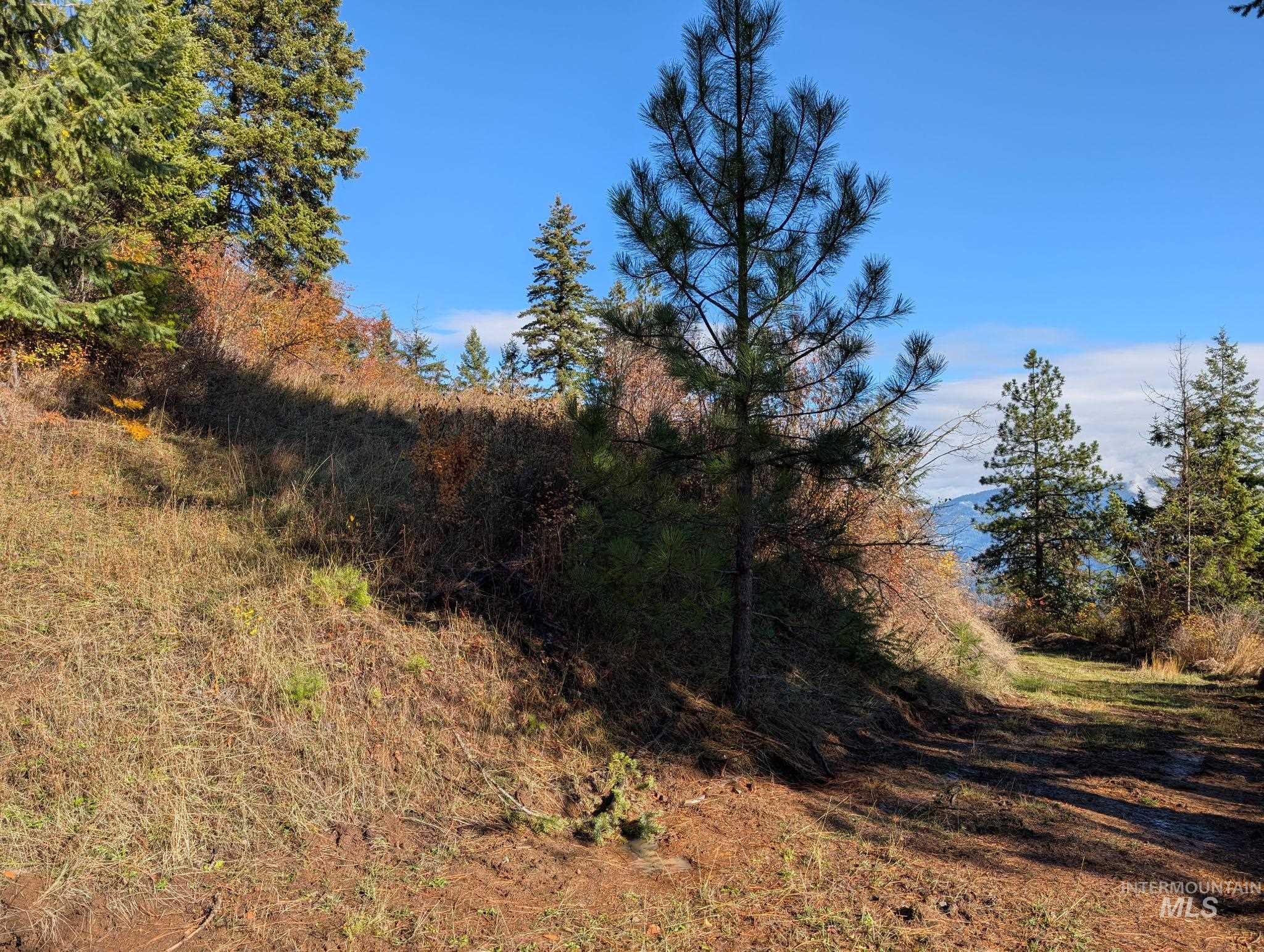 000 Bear Lane, Kooskia, Idaho 83539, Land For Sale, Price $259,000,MLS 98966731