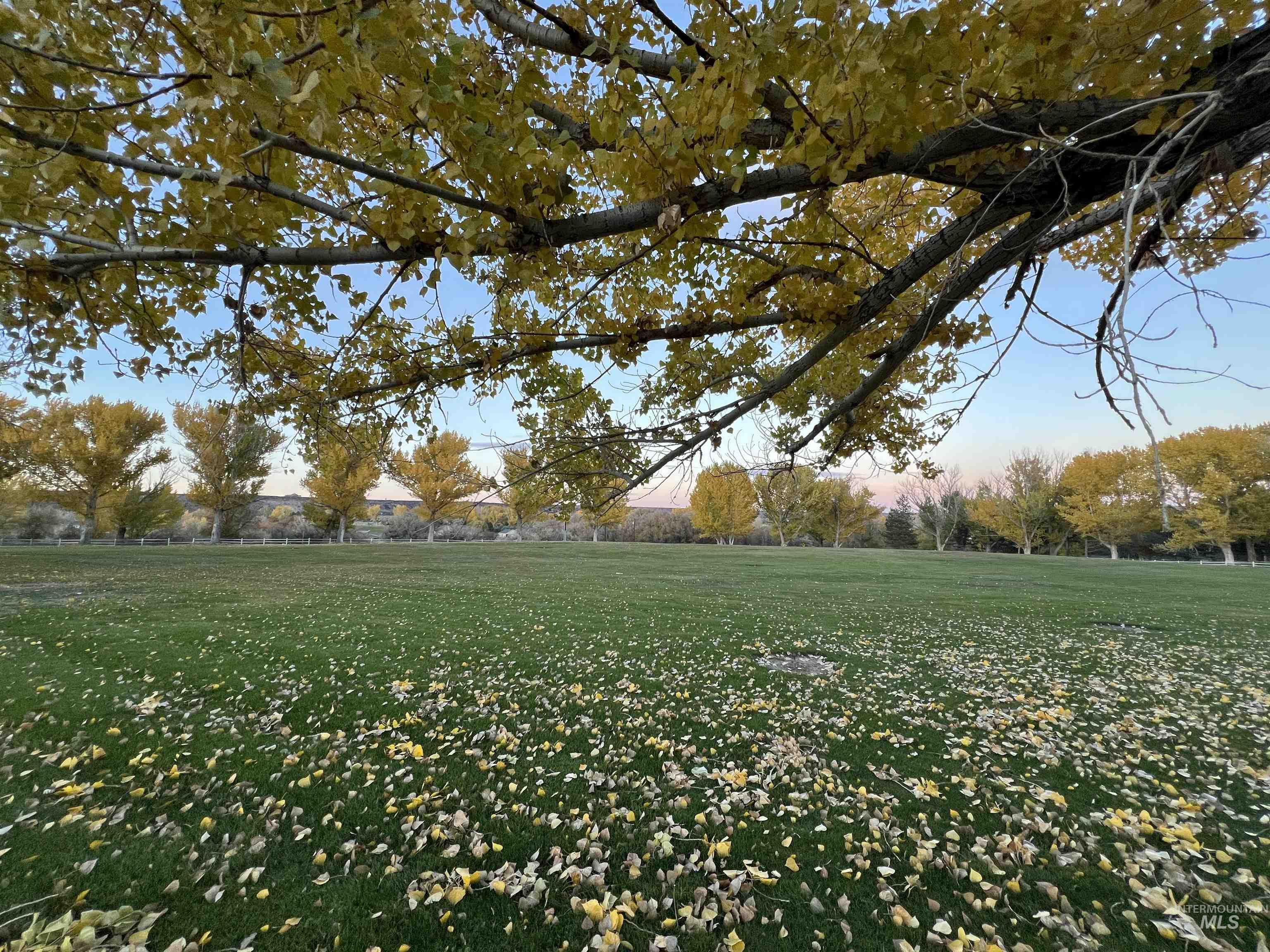 4521 Mesa View Rd, Buhl, Idaho 83316, Land For Sale, Price $85,000, 98966852