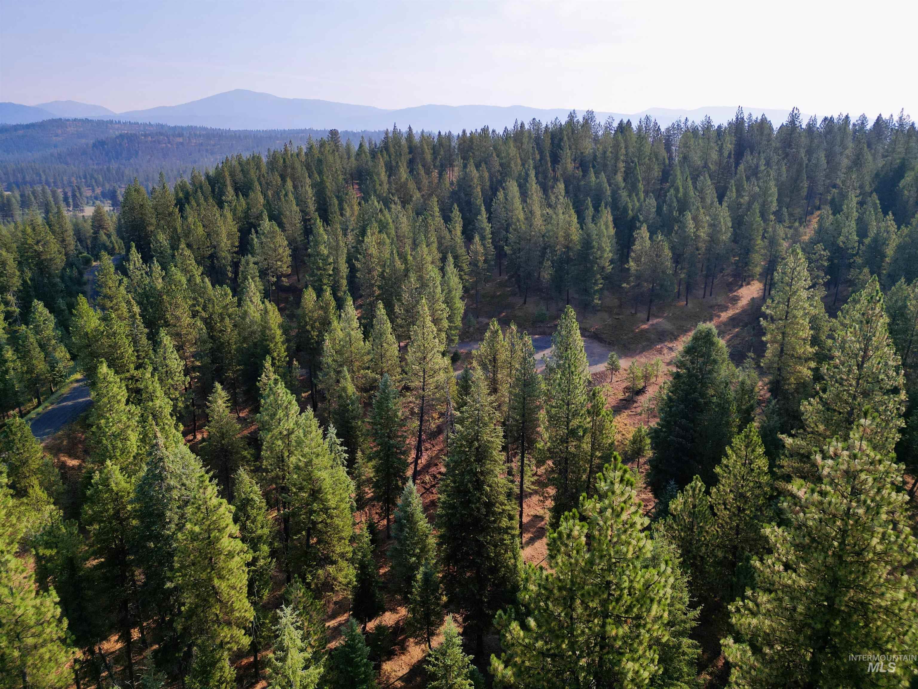 TBD Pine West Drive, New Meadows, Idaho 83654, Land For Sale, Price $445,000, 98966861