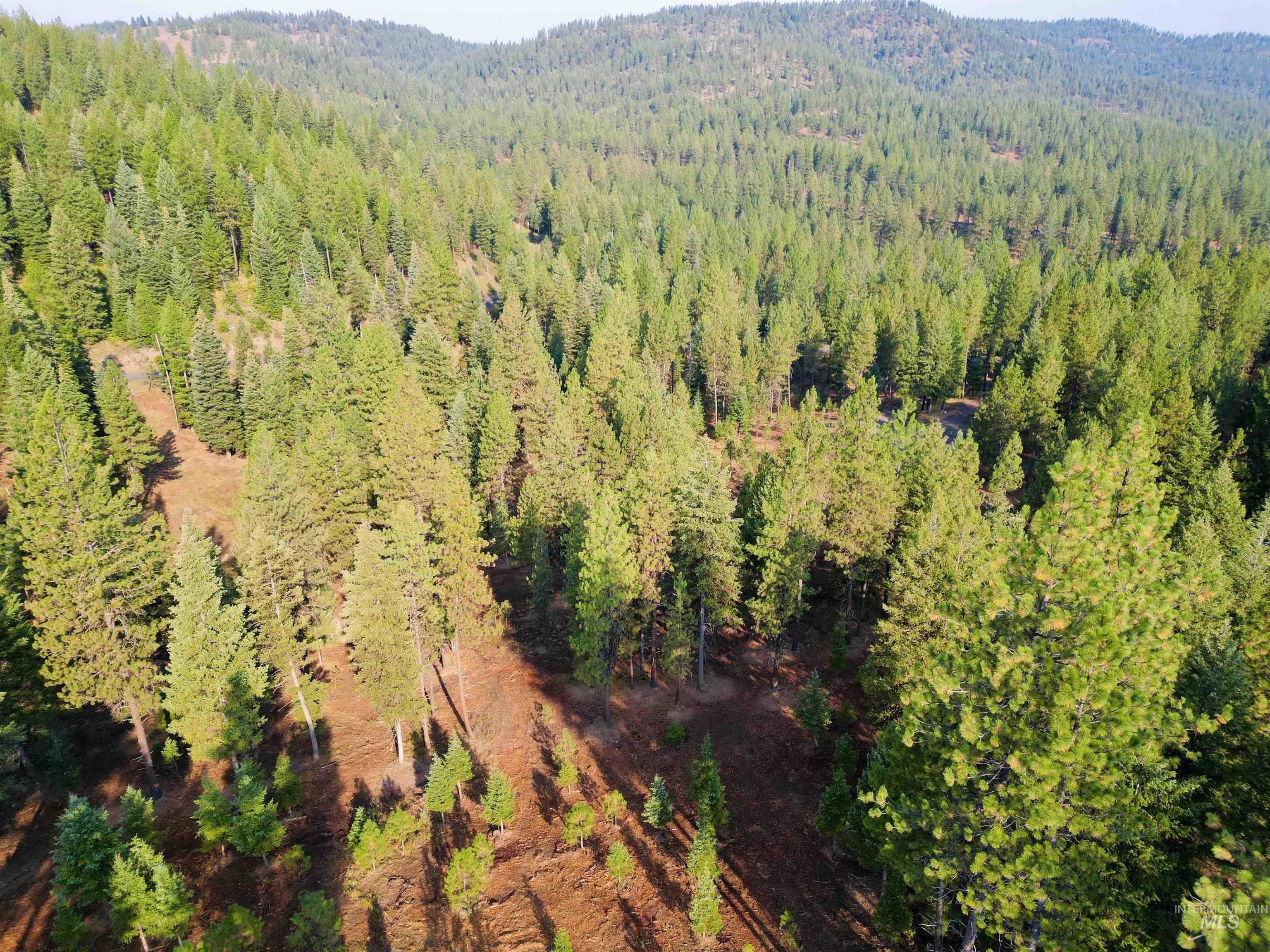 TBD Pine West Drive, New Meadows, Idaho 83654, Land For Sale, Price $445,000,MLS 98966861