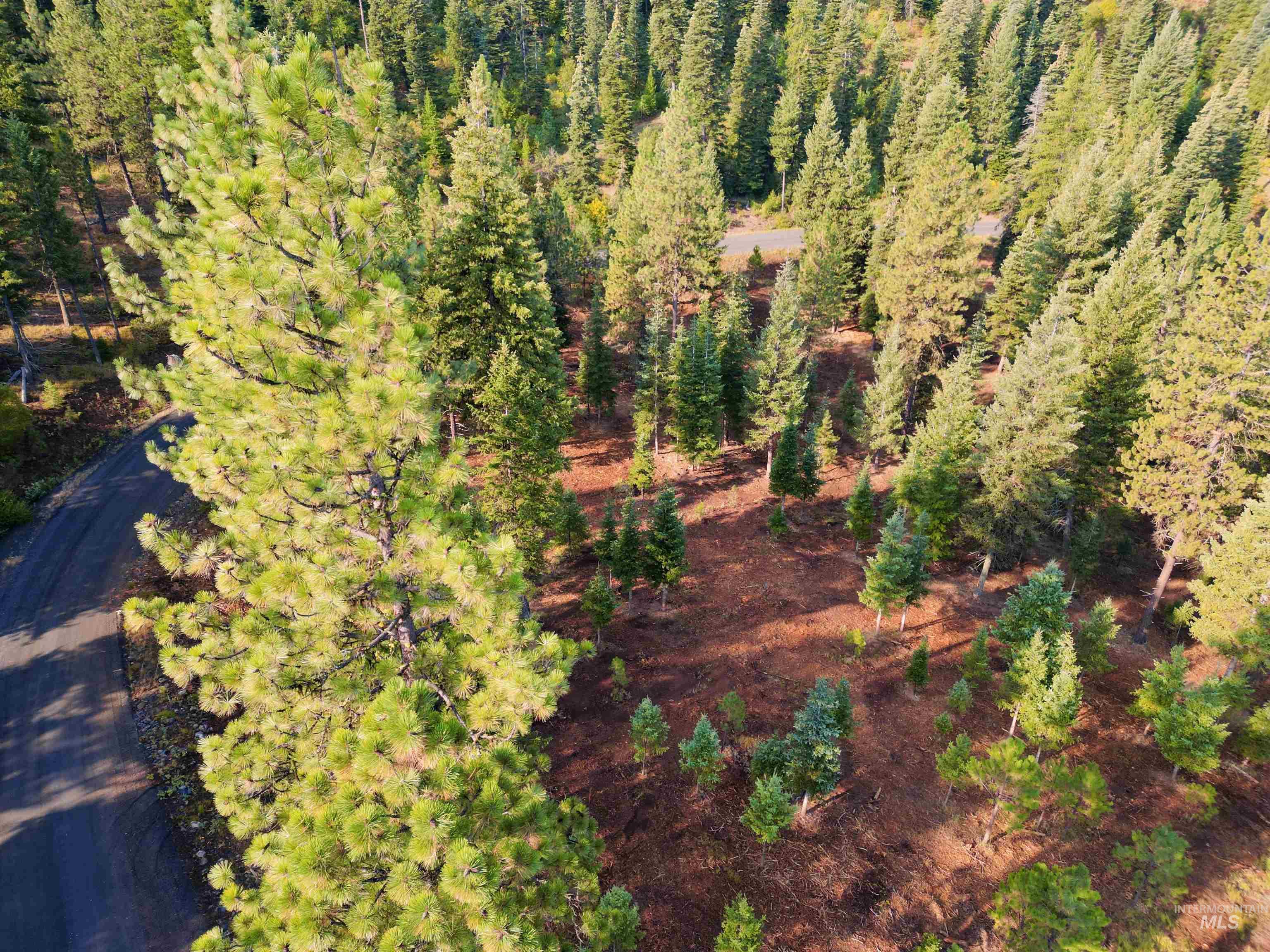 TBD Pine West Drive, New Meadows, Idaho 83654, Land For Sale, Price $445,000,MLS 98966861