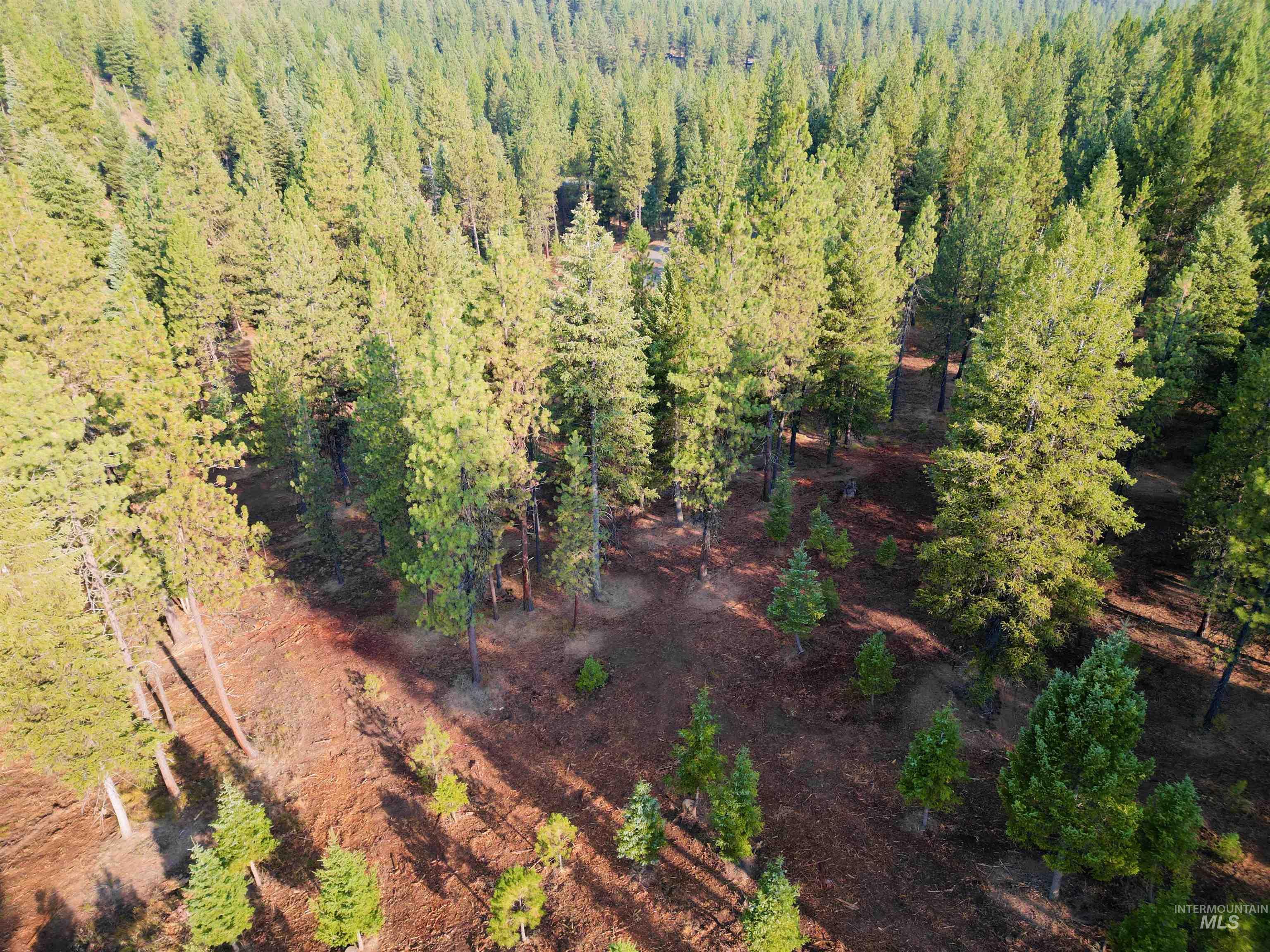 TBD Pine West Drive, New Meadows, Idaho 83654, Land For Sale, Price $445,000,MLS 98966861