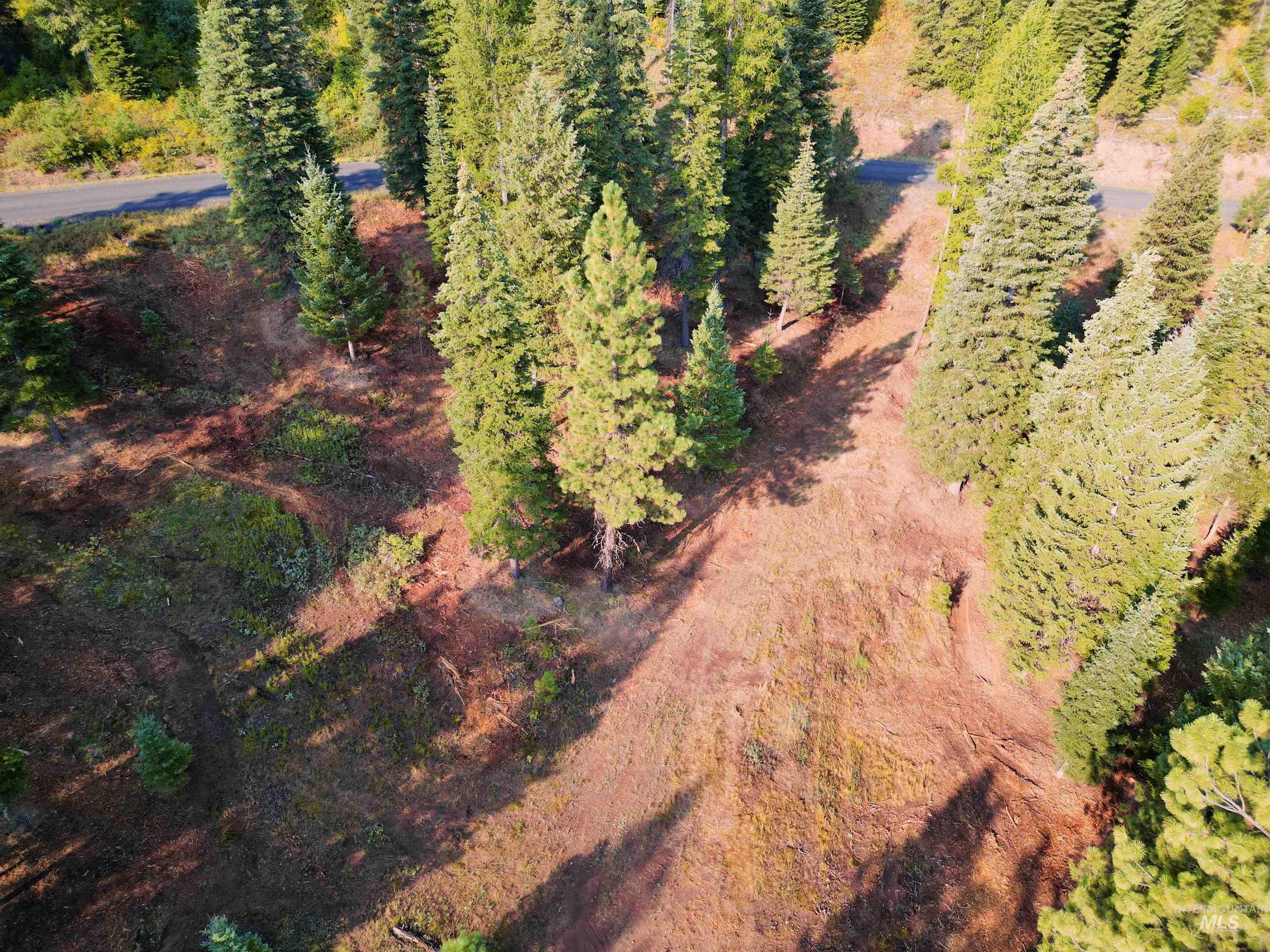 TBD Pine West Drive, New Meadows, Idaho 83654, Land For Sale, Price $445,000,MLS 98966861