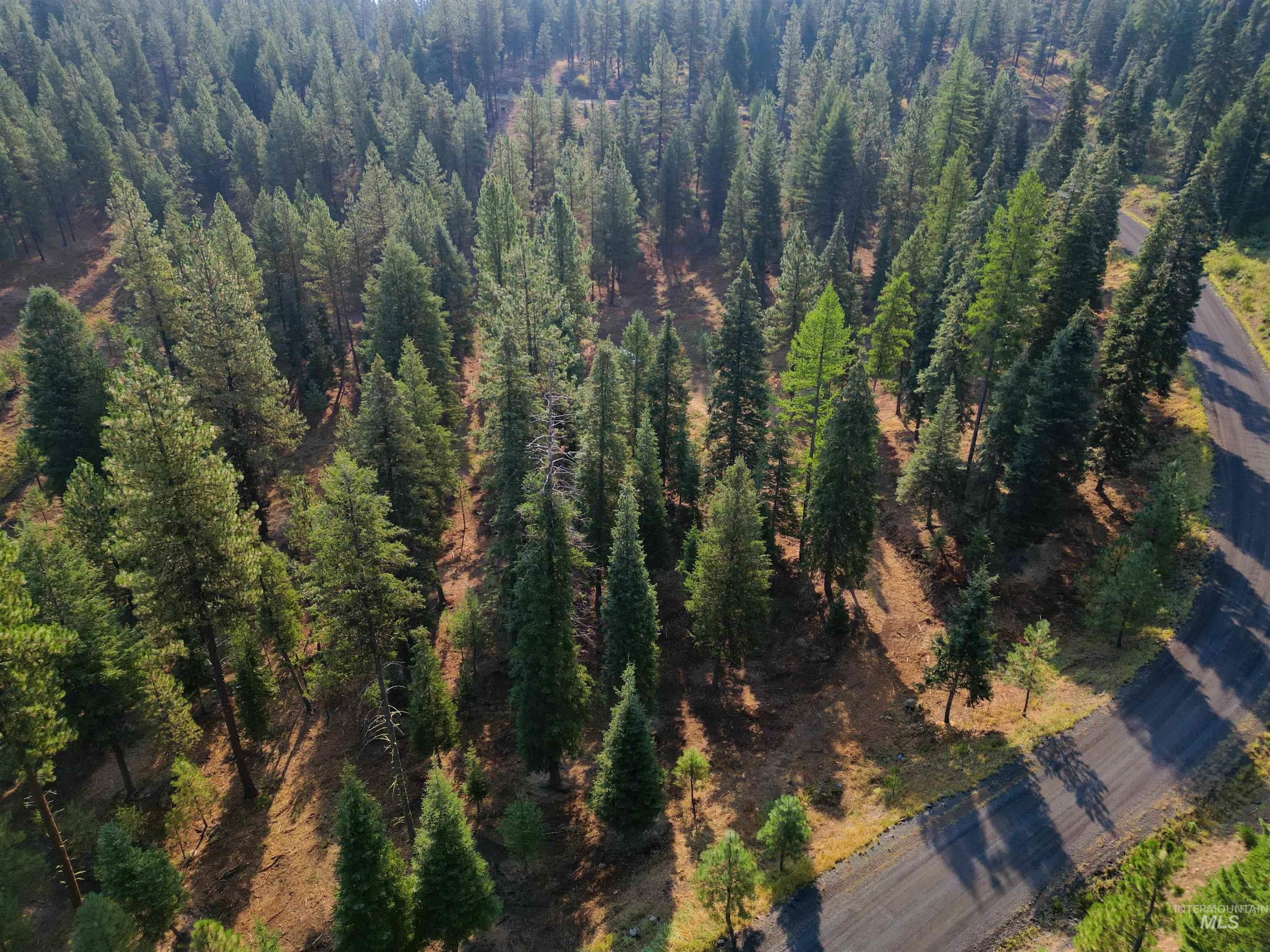 TBD Pine West Drive, New Meadows, Idaho 83654, Land For Sale, Price $445,000,MLS 98966861