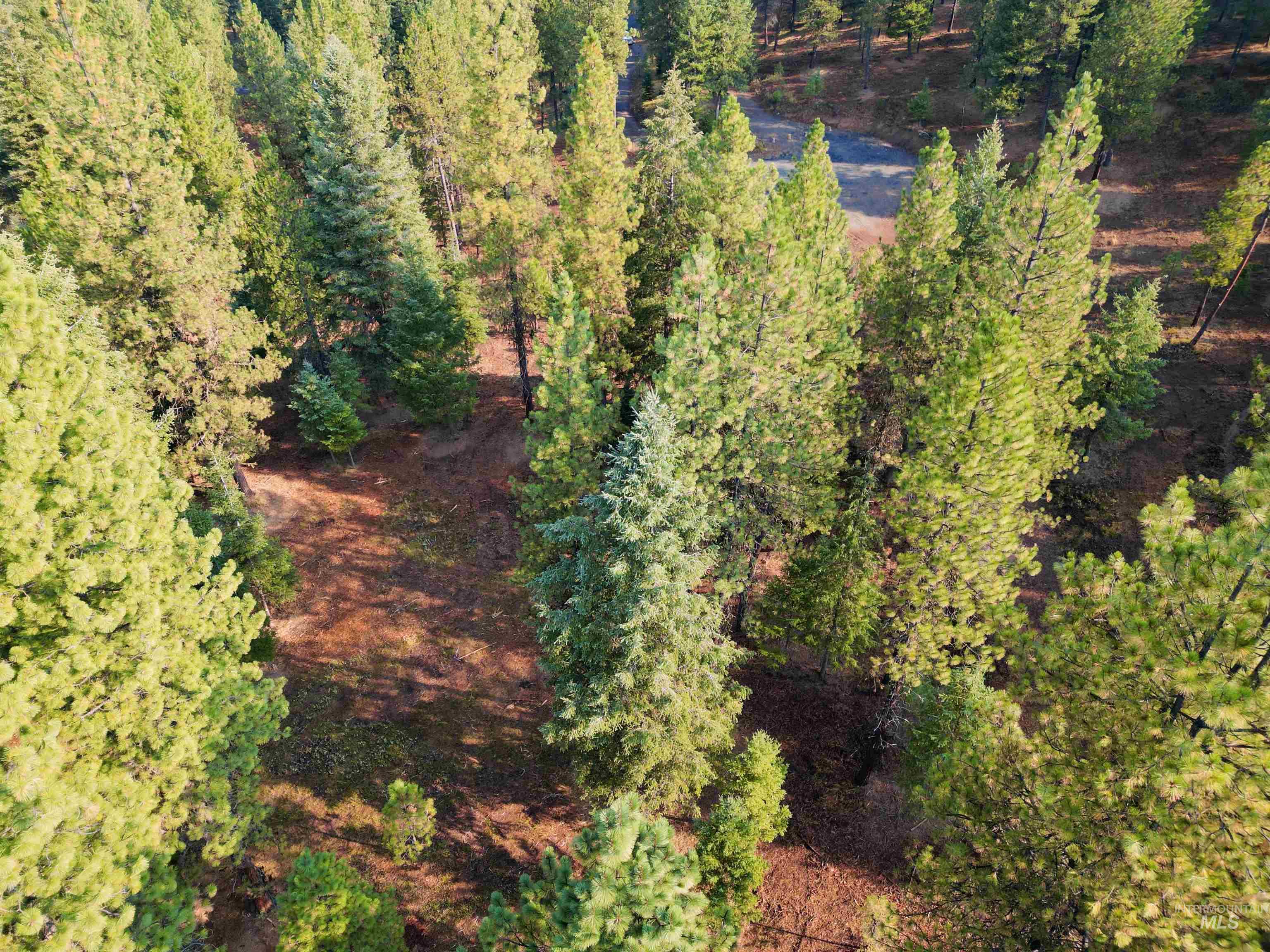 TBD Pine West Drive, New Meadows, Idaho 83654, Land For Sale, Price $445,000,MLS 98966861