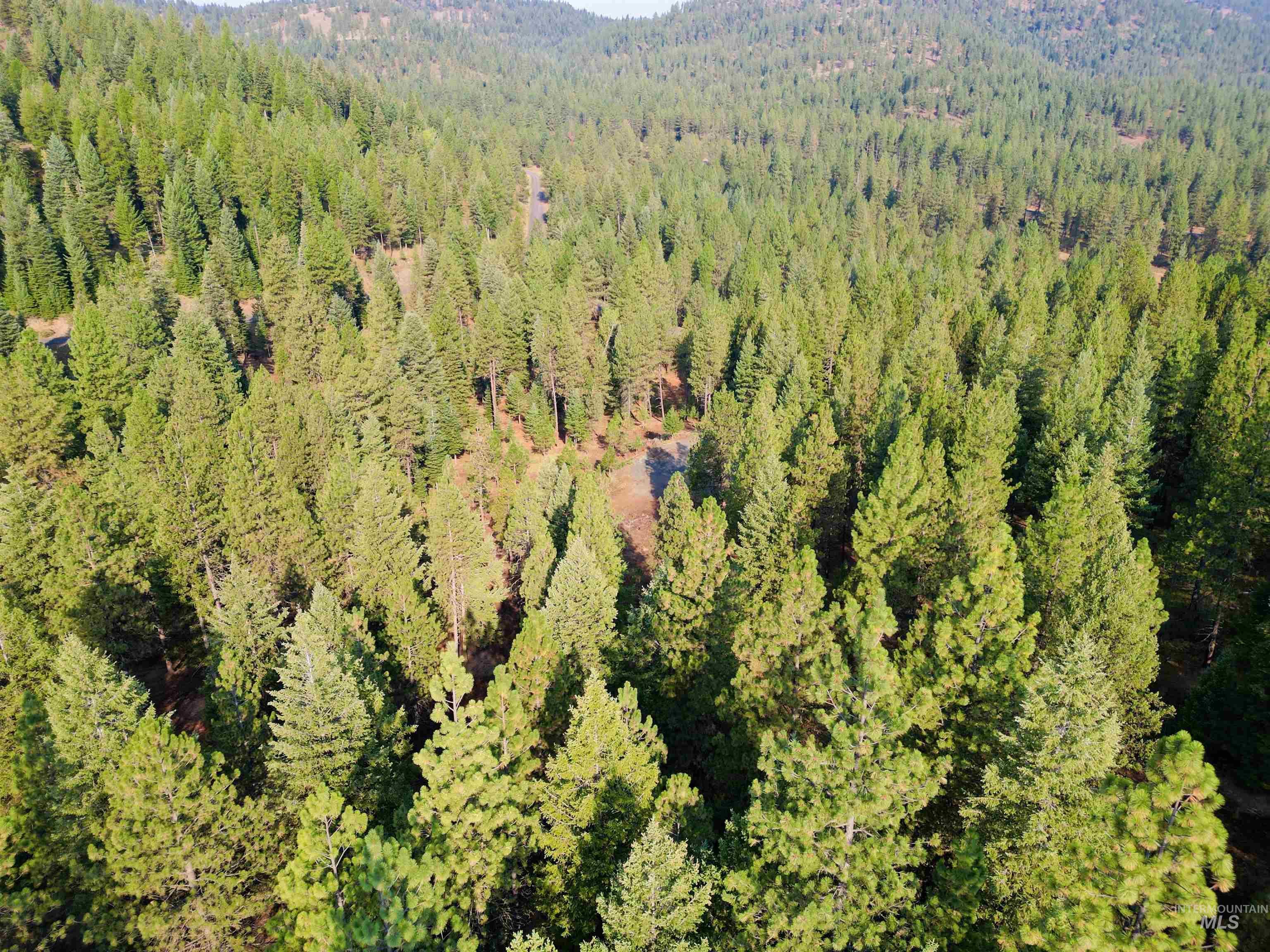 TBD Pine West Drive, New Meadows, Idaho 83654, Land For Sale, Price $445,000,MLS 98966861