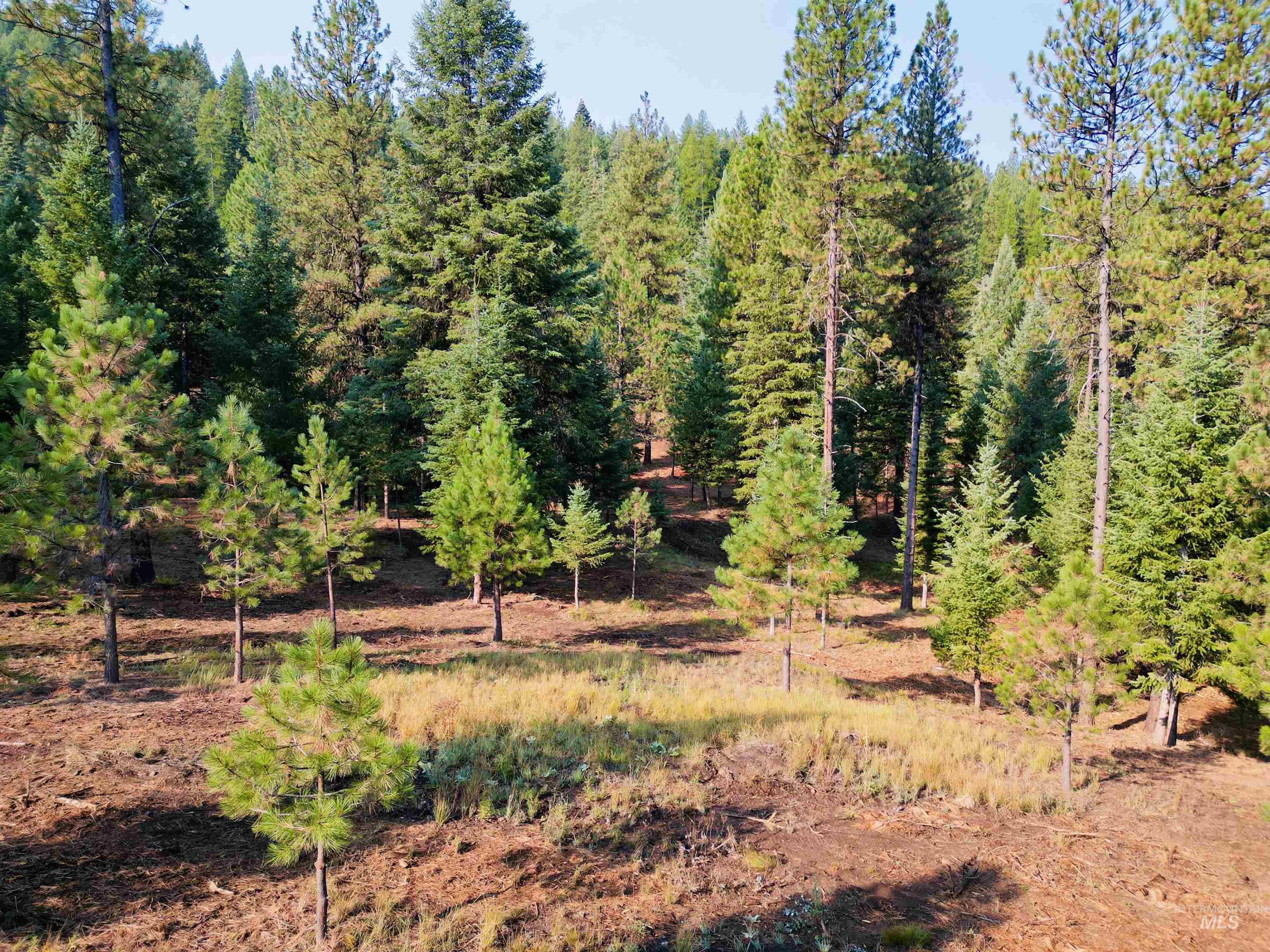 TBD Pine West Drive, New Meadows, Idaho 83654, Land For Sale, Price $445,000,MLS 98966861