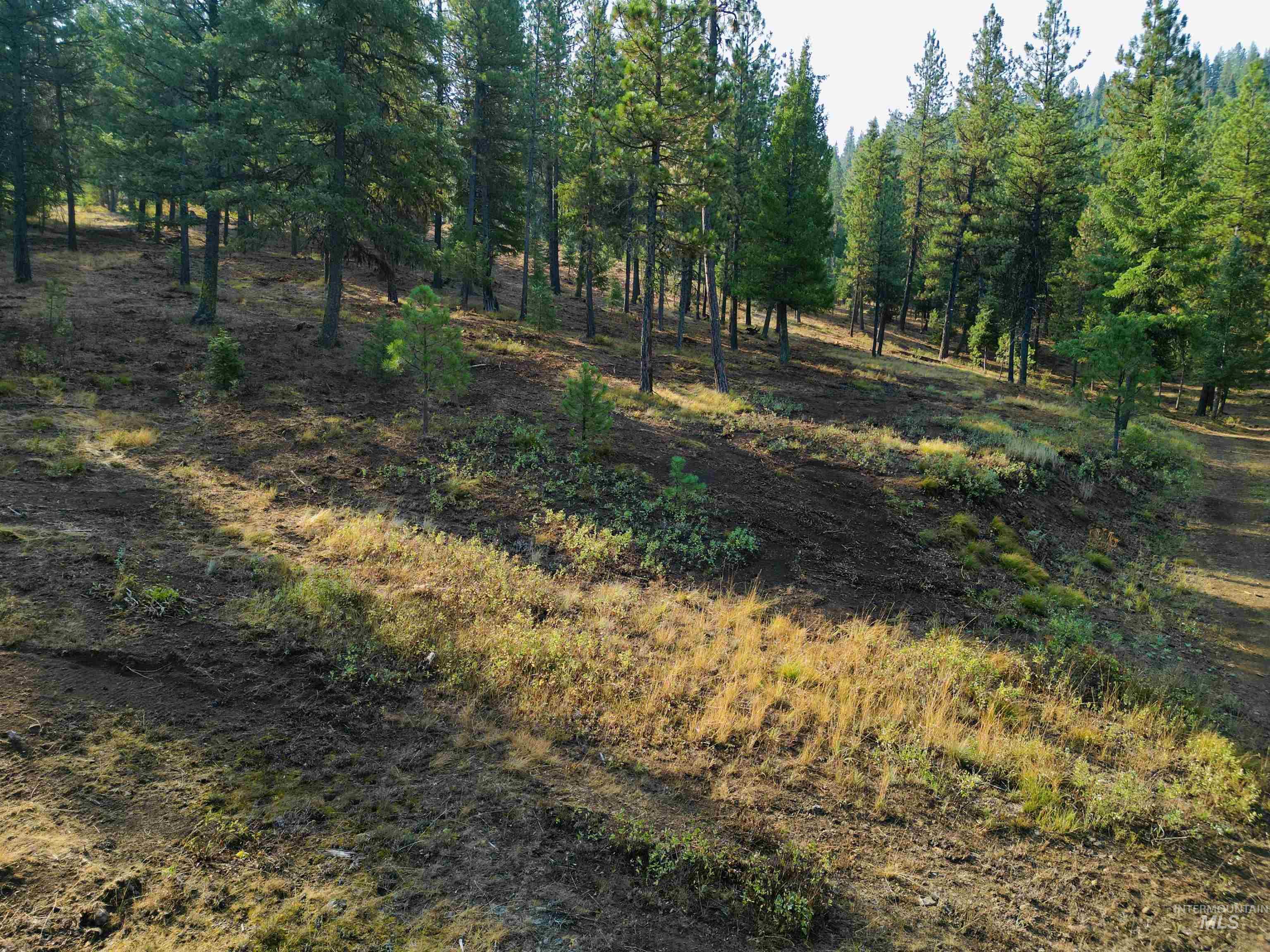 TBD Pine West Drive, New Meadows, Idaho 83654, Land For Sale, Price $445,000,MLS 98966861