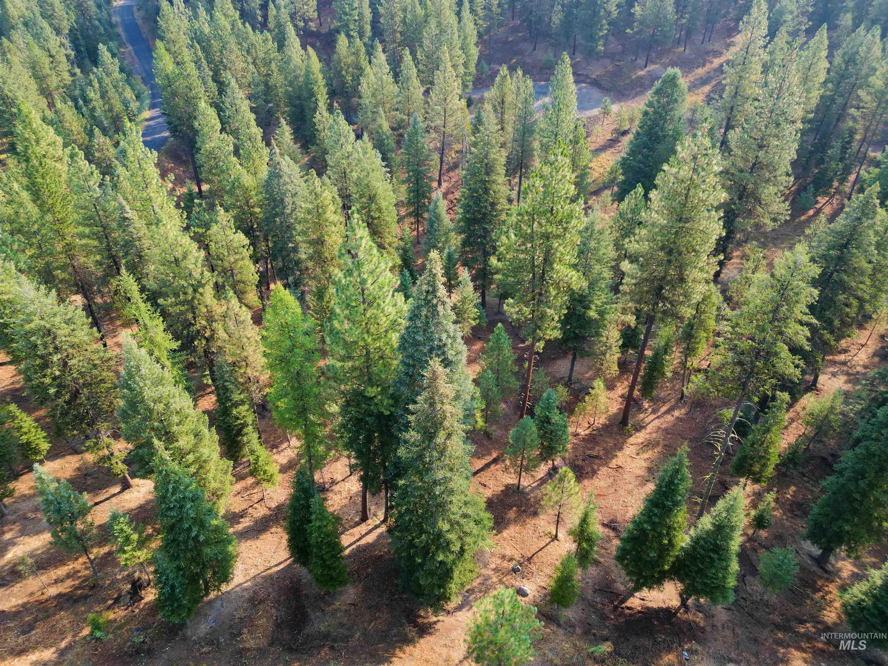 TBD Pine West Drive, New Meadows, Idaho 83654, Land For Sale, Price $445,000, 98966861