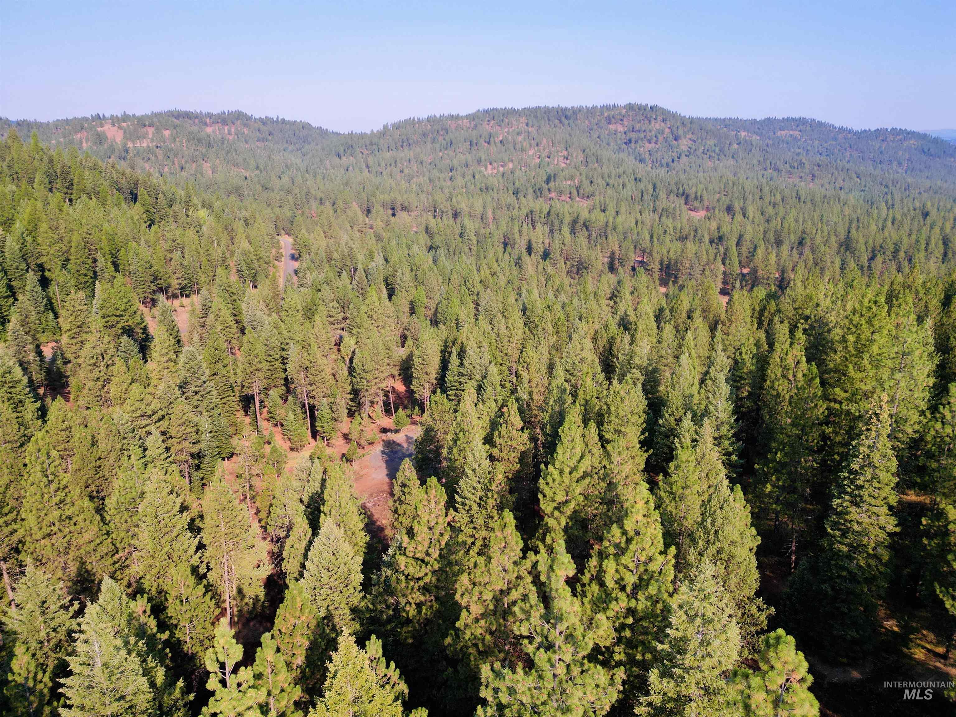 TBD Pine West Drive, New Meadows, Idaho 83654, Land For Sale, Price $445,000,MLS 98966861