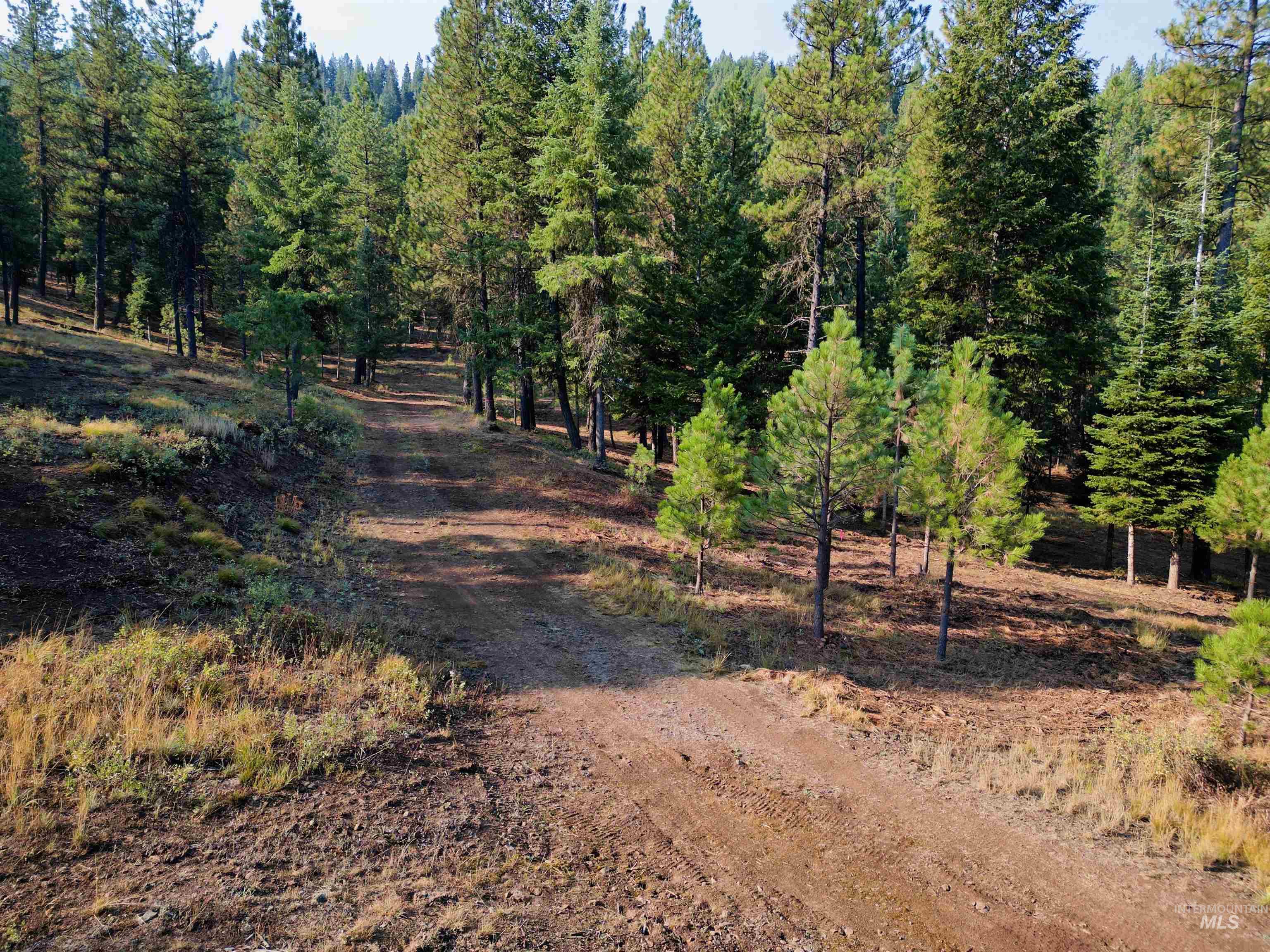 TBD Pine West Drive, New Meadows, Idaho 83654, Land For Sale, Price $445,000,MLS 98966861