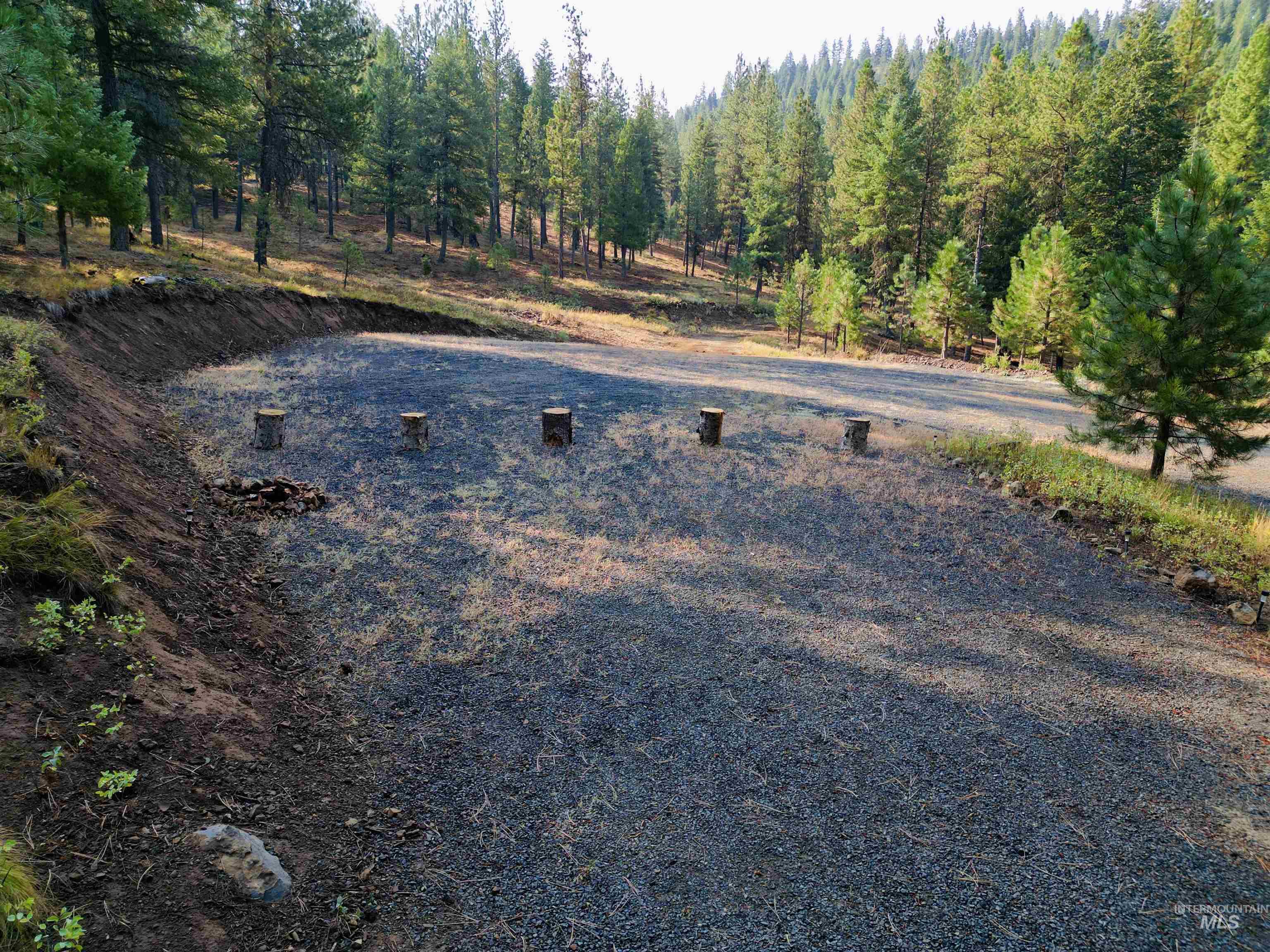 TBD Pine West Drive, New Meadows, Idaho 83654, Land For Sale, Price $445,000,MLS 98966861