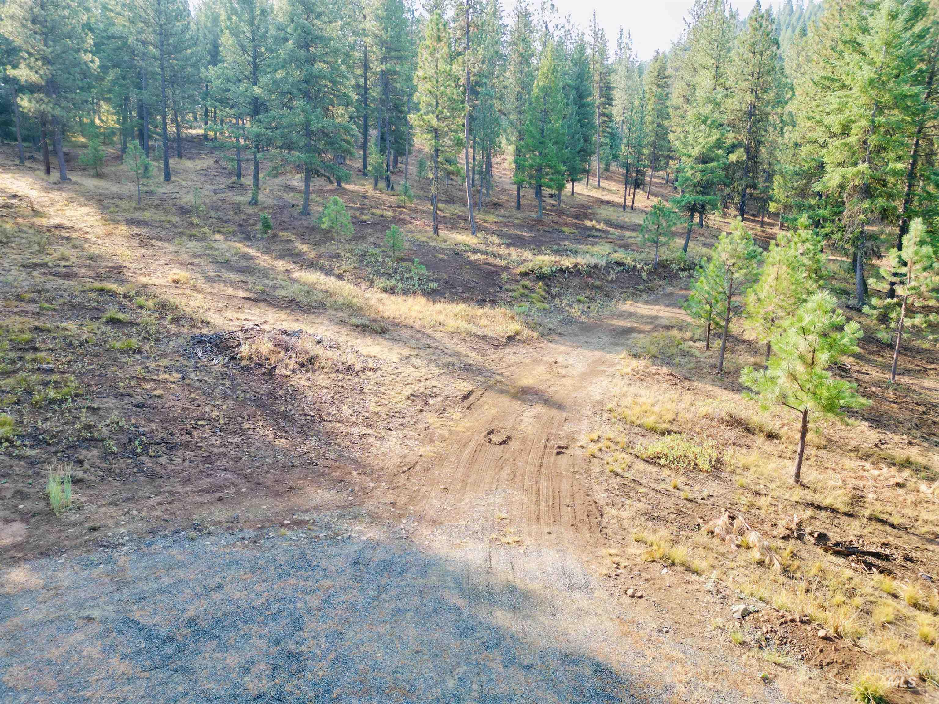 TBD Pine West Drive, New Meadows, Idaho 83654, Land For Sale, Price $445,000,MLS 98966861