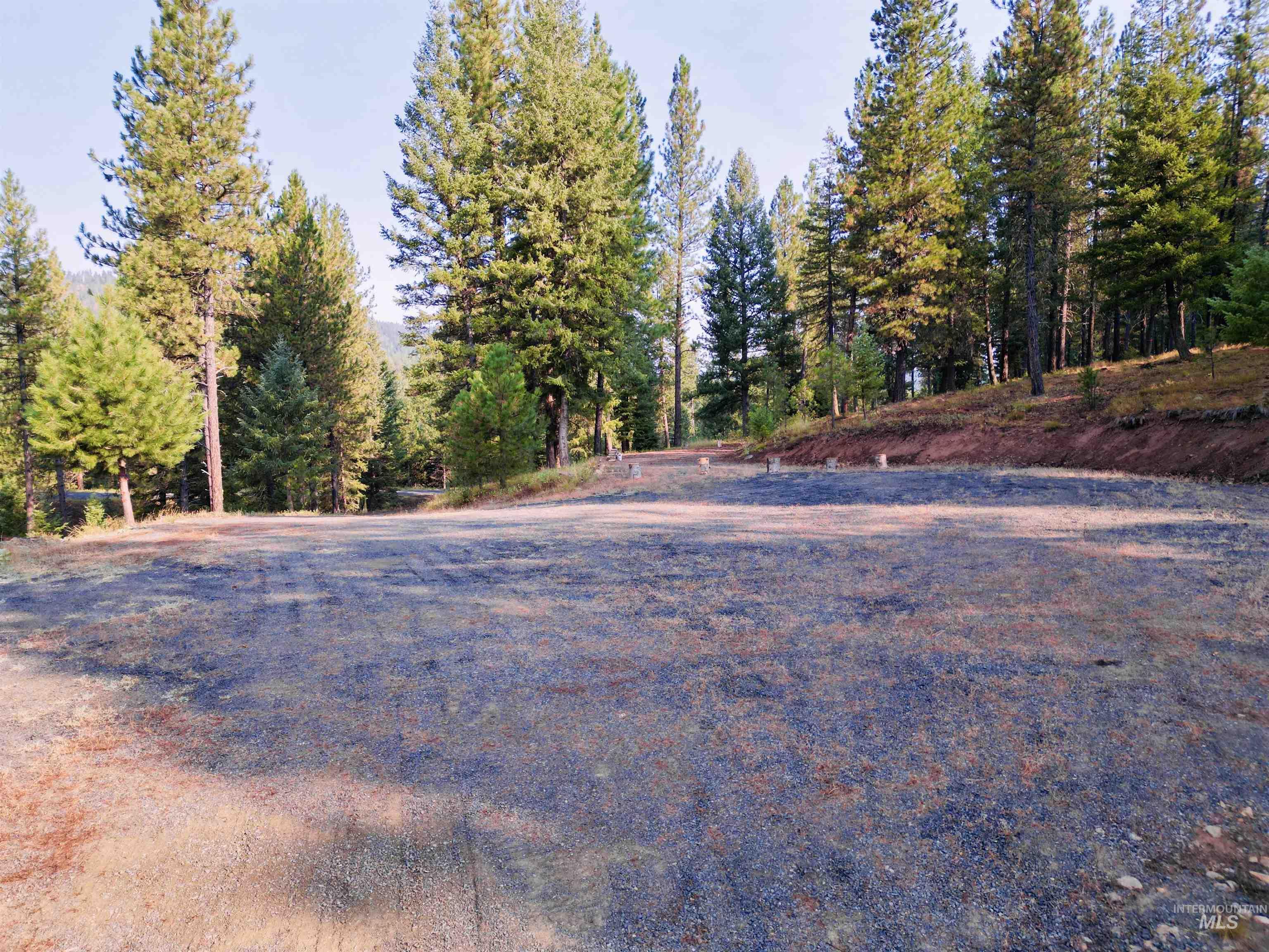 TBD Pine West Drive, New Meadows, Idaho 83654, Land For Sale, Price $445,000,MLS 98966861