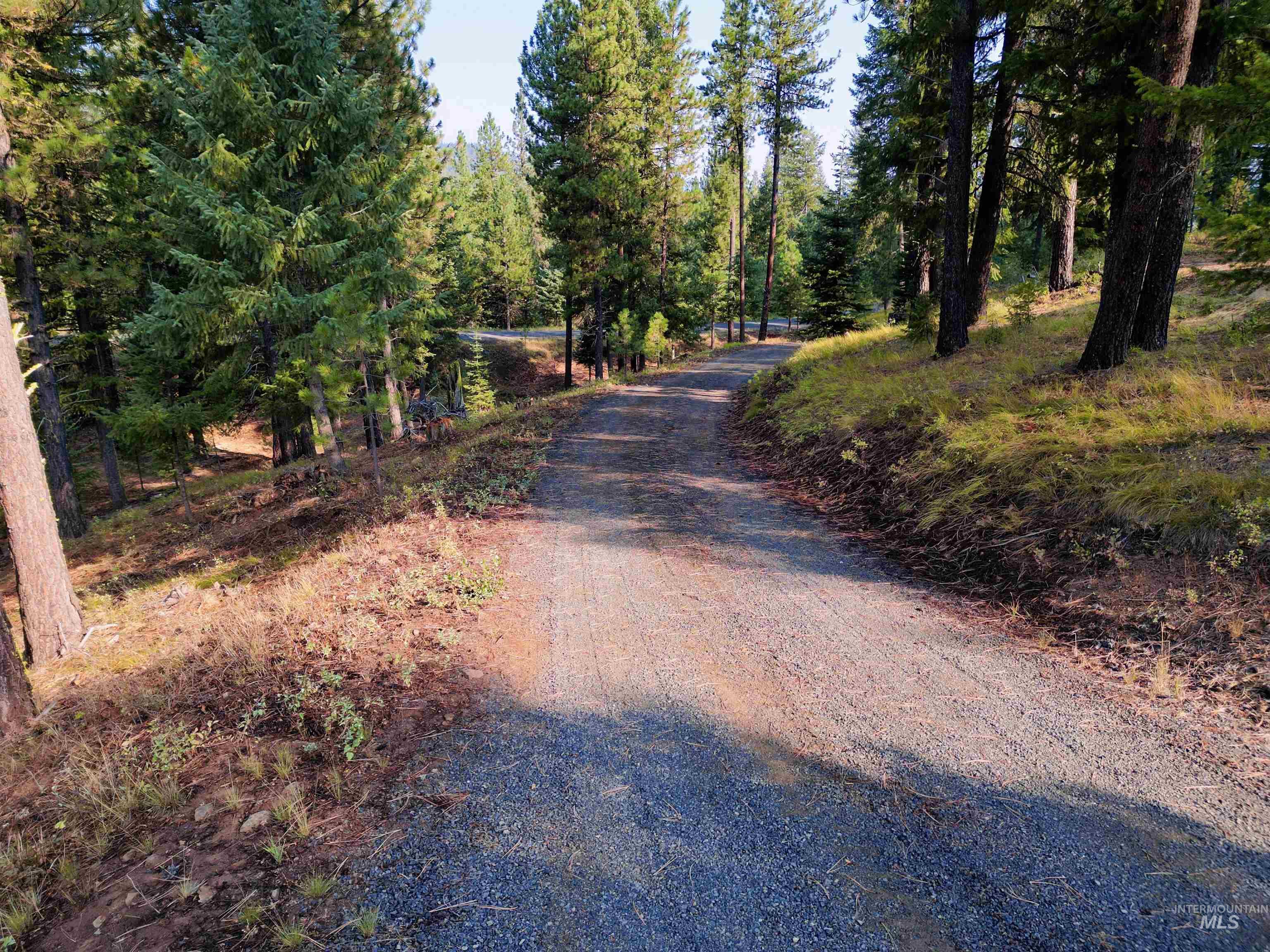 TBD Pine West Drive, New Meadows, Idaho 83654, Land For Sale, Price $445,000, 98966861
