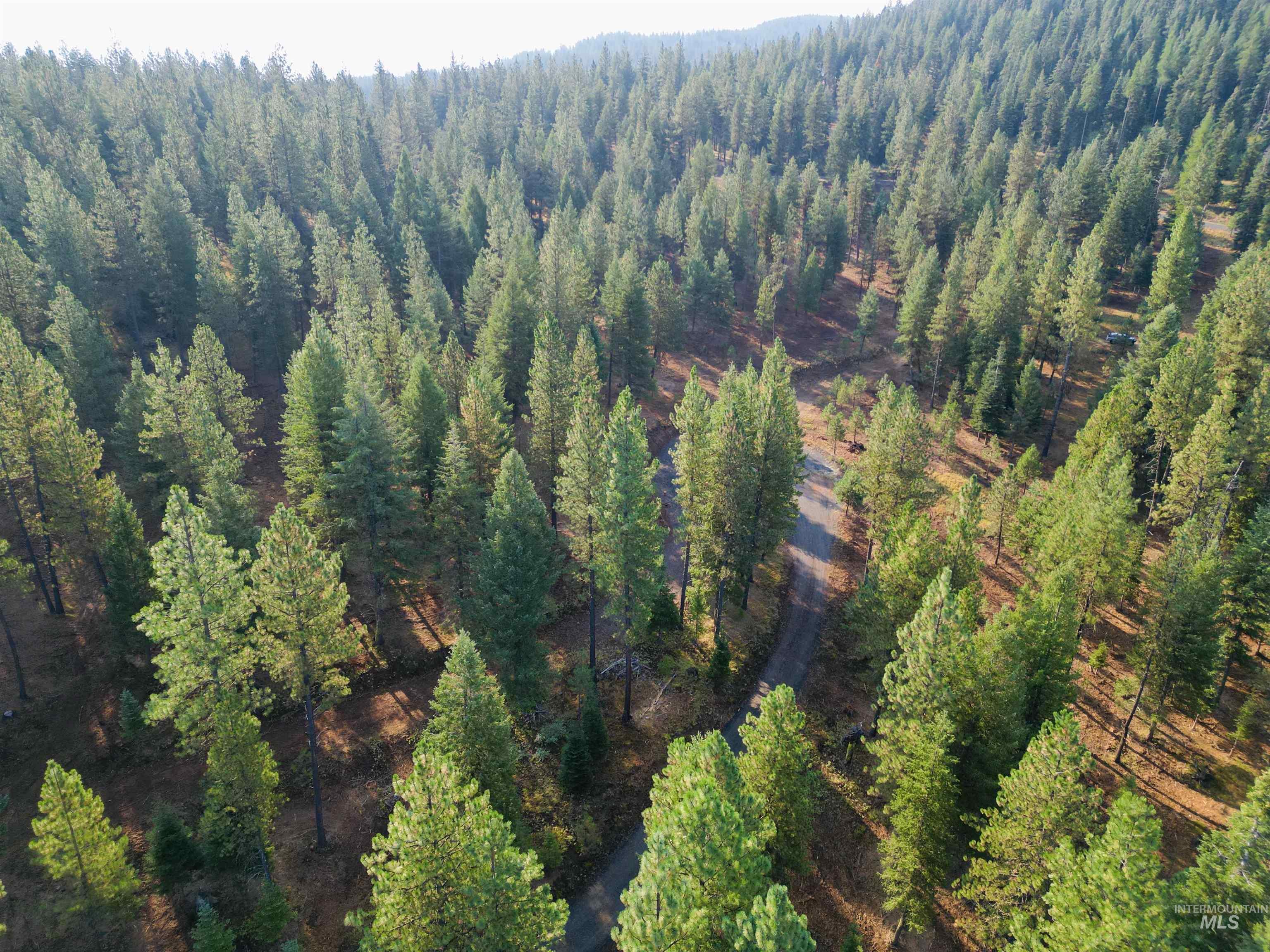 TBD Pine West Drive, New Meadows, Idaho 83654, Land For Sale, Price $445,000, 98966861