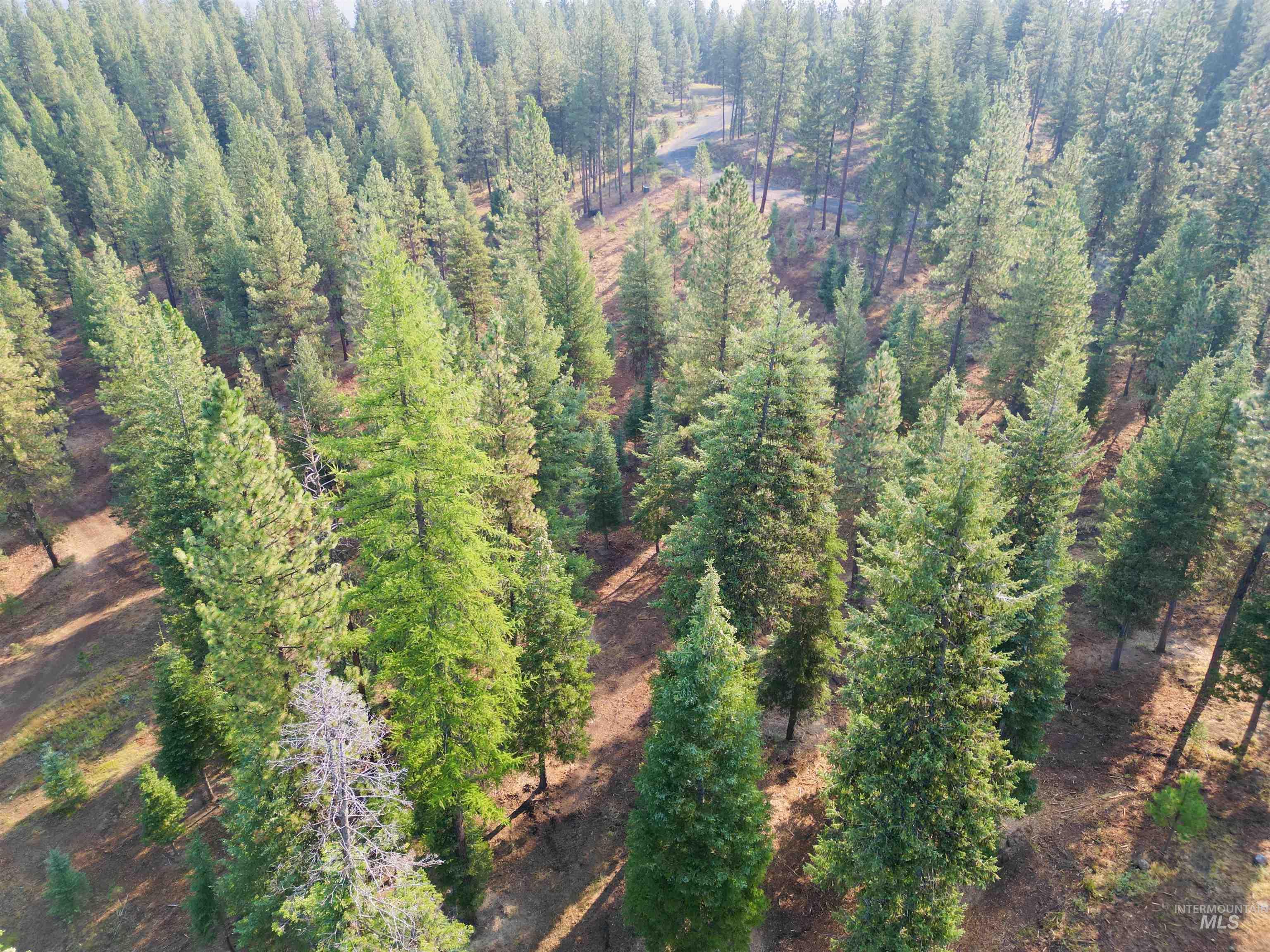 TBD Pine West Drive, New Meadows, Idaho 83654, Land For Sale, Price $445,000, 98966861