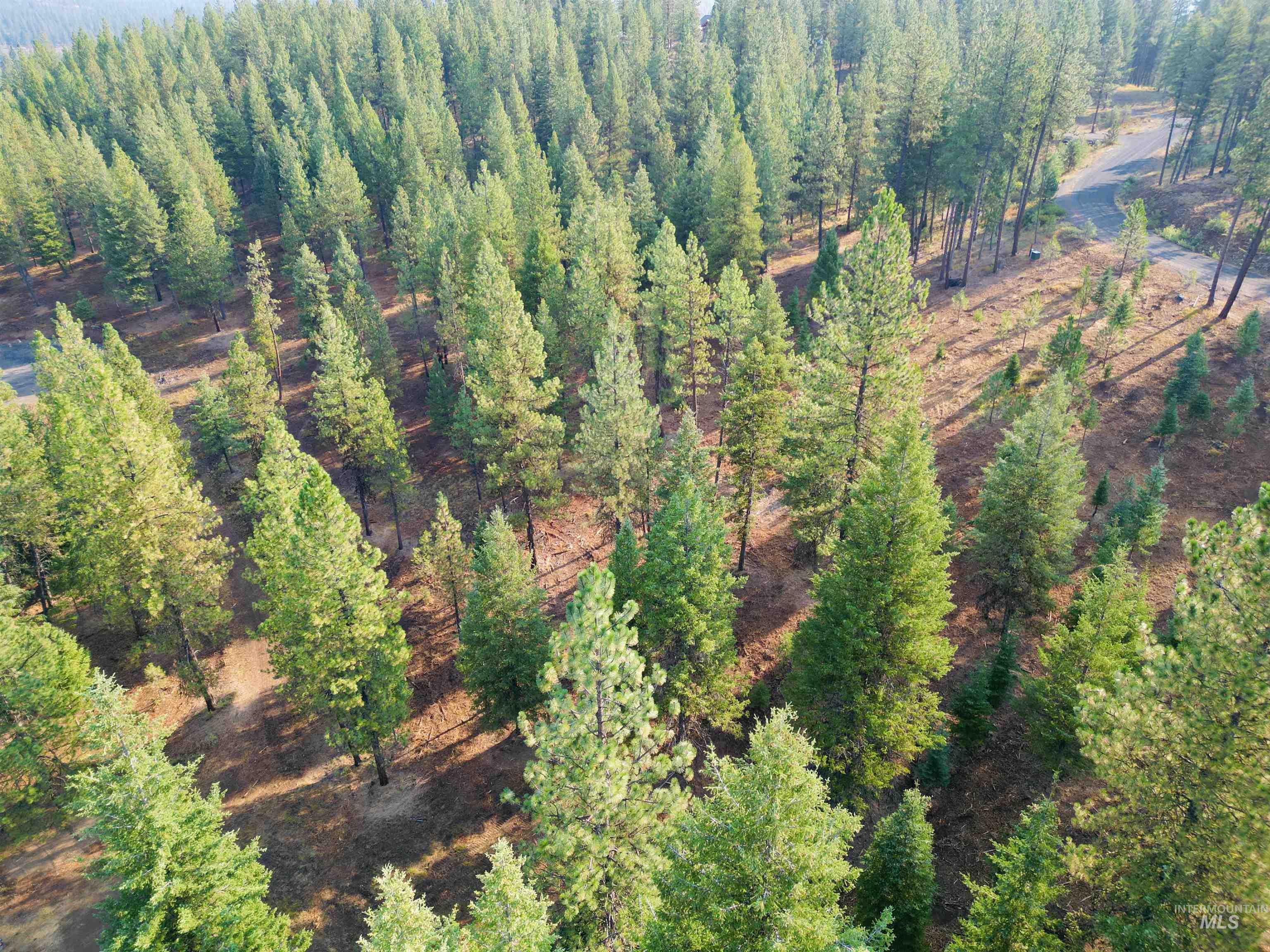 TBD Pine West Drive, New Meadows, Idaho 83654, Land For Sale, Price $445,000,MLS 98966861