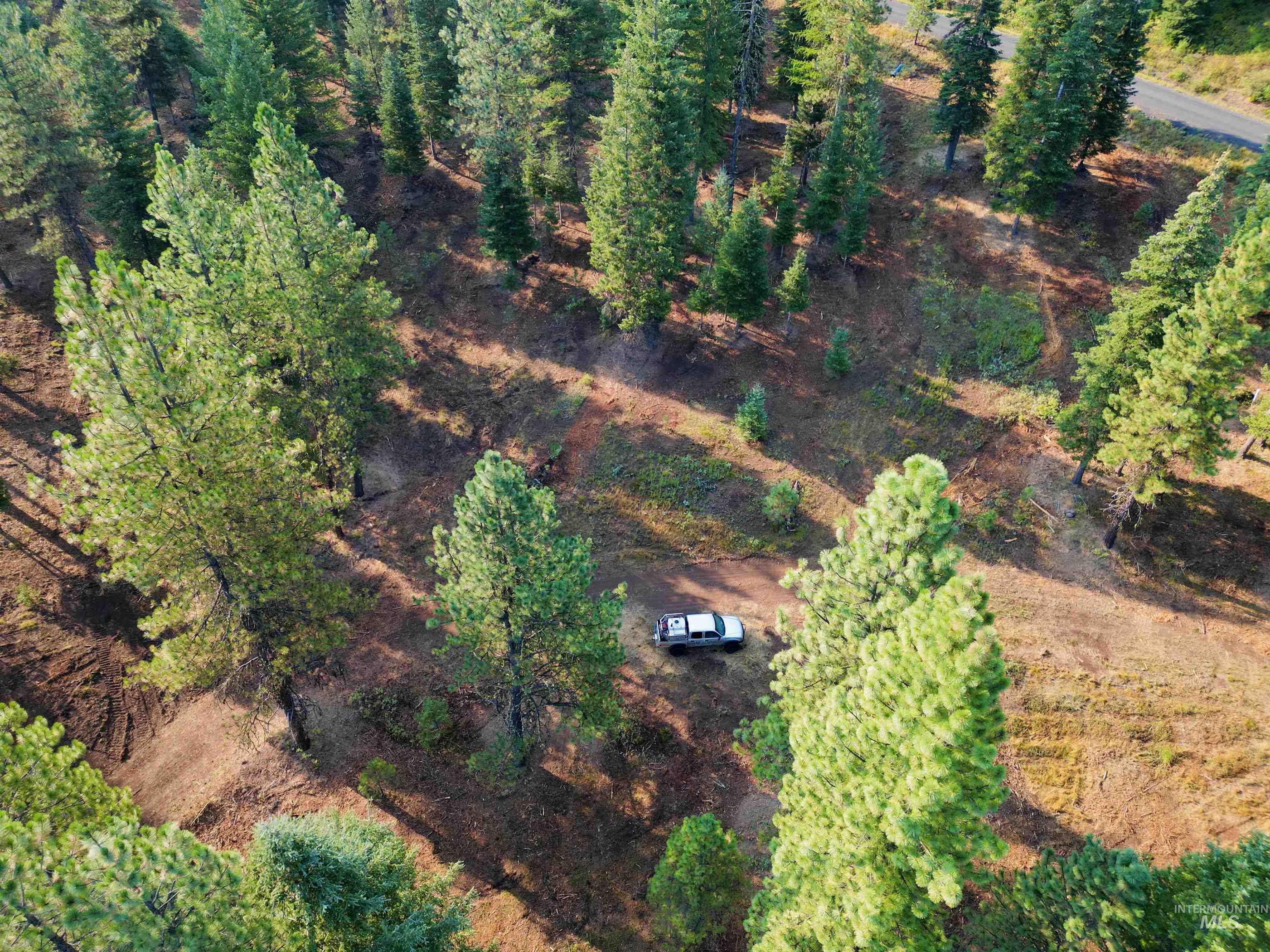 TBD Pine West Drive, New Meadows, Idaho 83654, Land For Sale, Price $445,000, 98966861