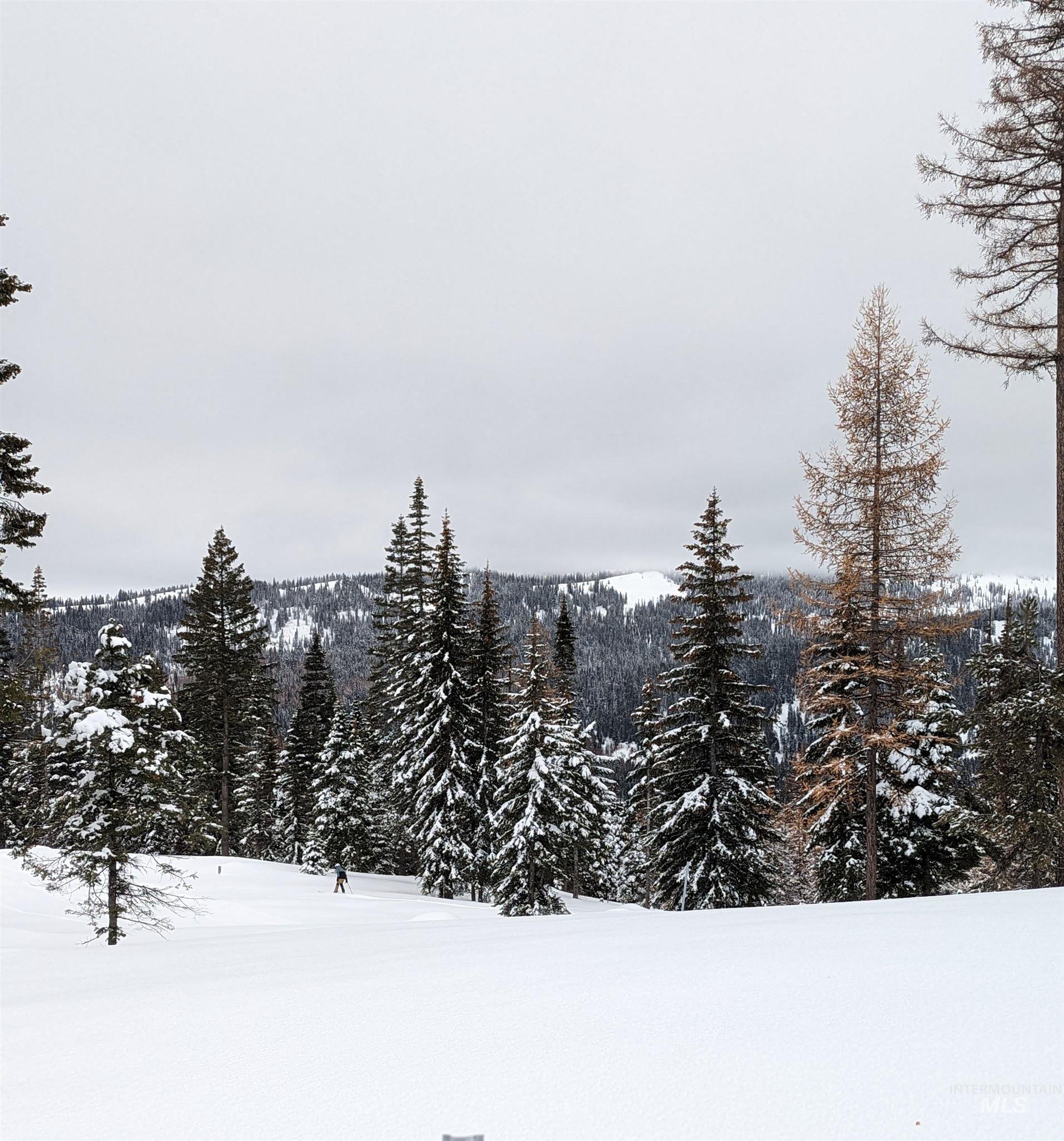 tbd North Loop, McCall, Idaho 83638, Land For Sale, Price $825,000,MLS 98966936