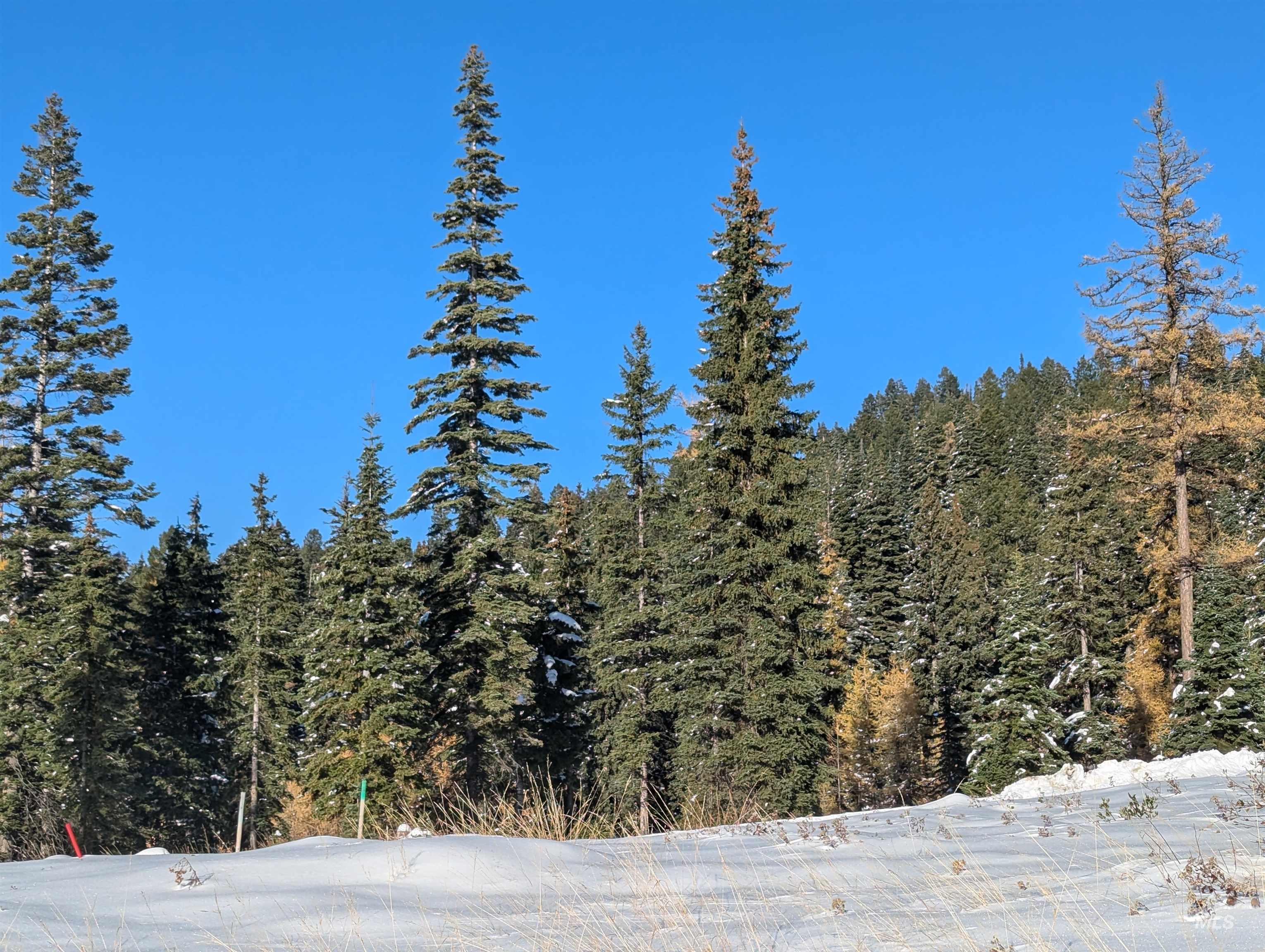 tbd North Loop, McCall, Idaho 83638, Land For Sale, Price $825,000,MLS 98966936