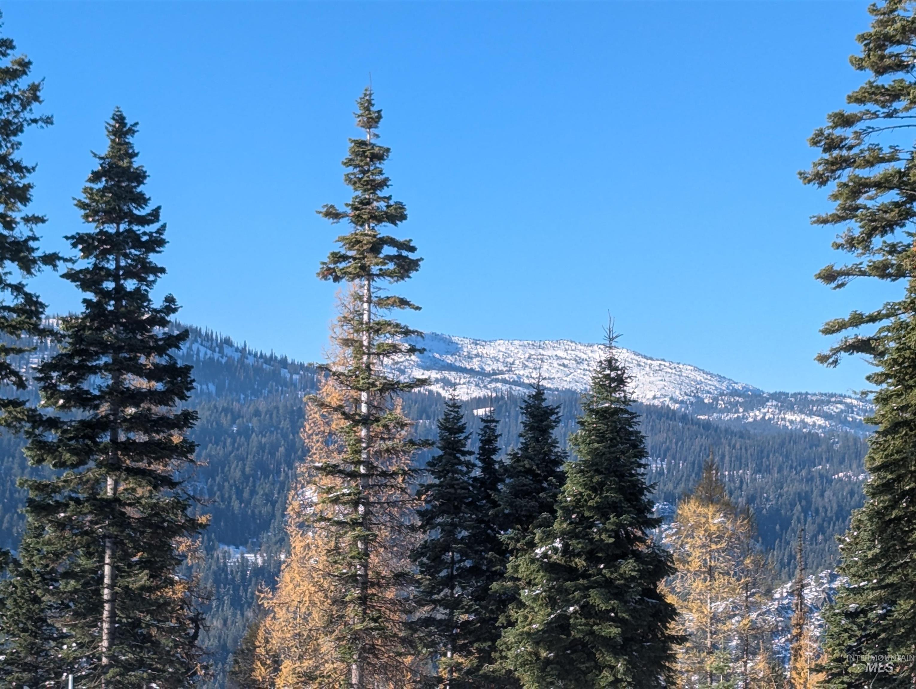 tbd North Loop, McCall, Idaho 83638, Land For Sale, Price $825,000,MLS 98966936