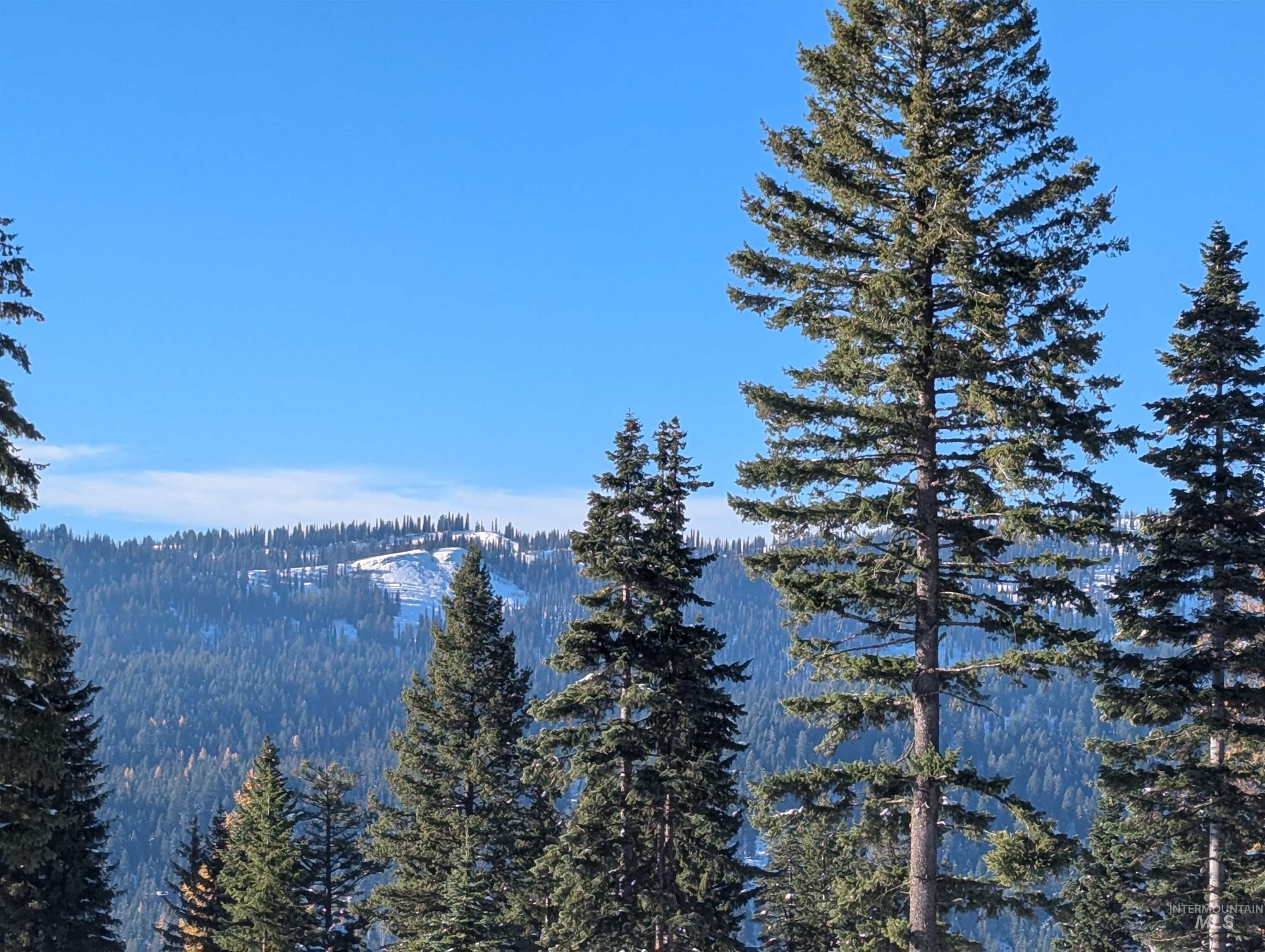 tbd North Loop, McCall, Idaho 83638, Land For Sale, Price $825,000,MLS 98966936