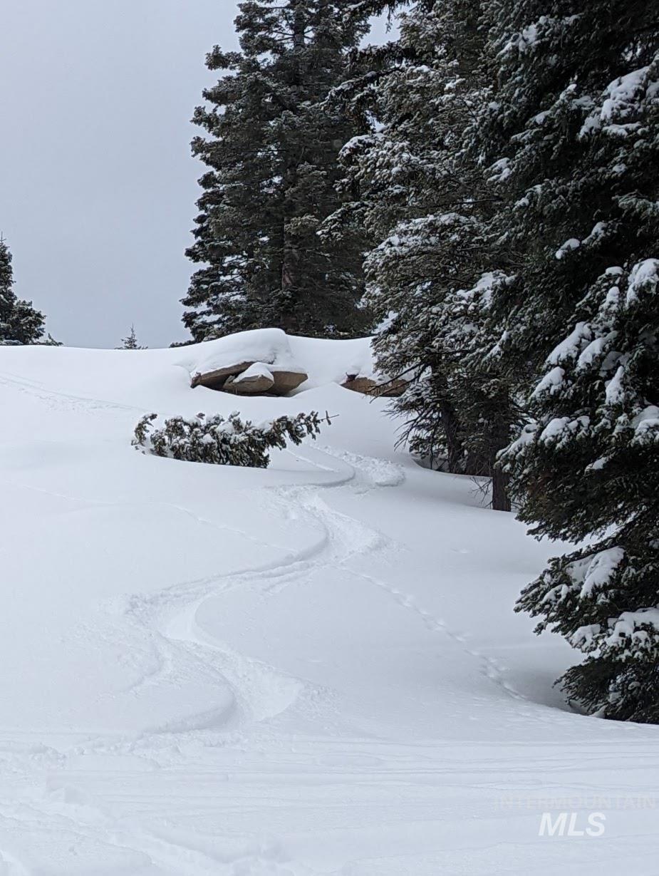 tbd North Loop, McCall, Idaho 83638, Land For Sale, Price $825,000,MLS 98966936