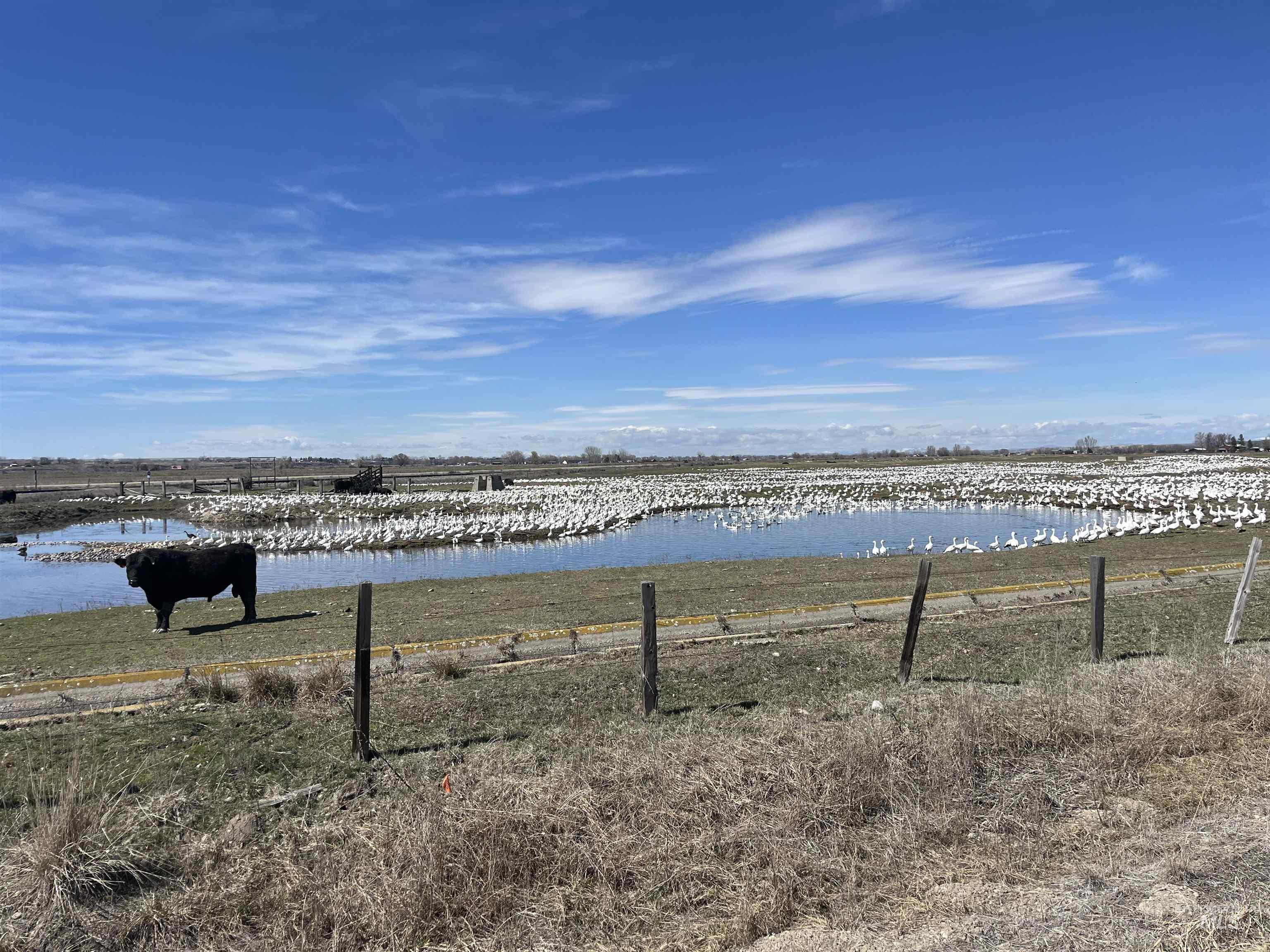 1275 LittleRock Rd, Emmett, Idaho 83617, Land For Sale, Price $174,500,MLS 98967089