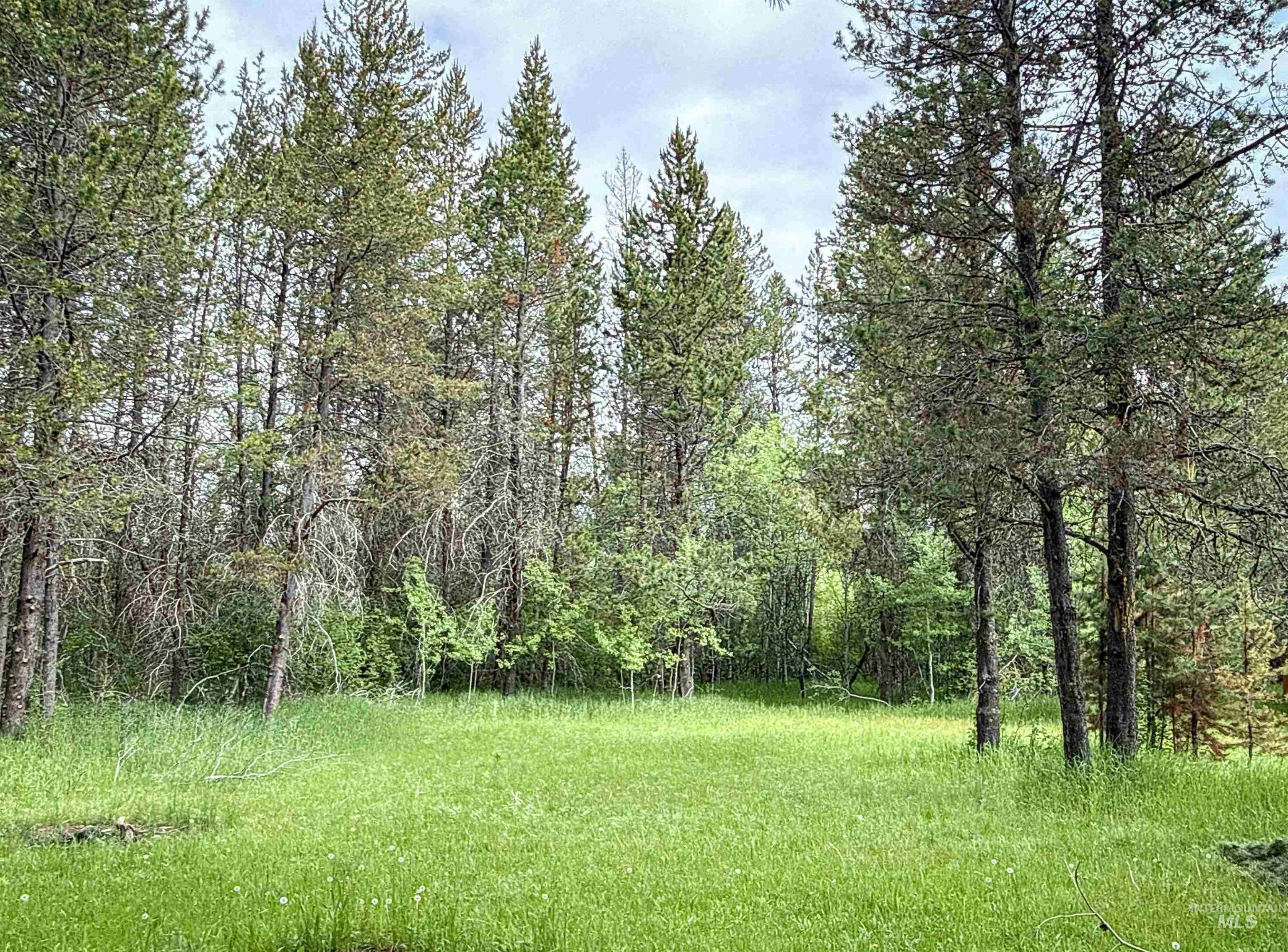 118 Westwind Ln, Donnelly, Idaho 83615, Land For Sale, Price $169,000,MLS 98967094