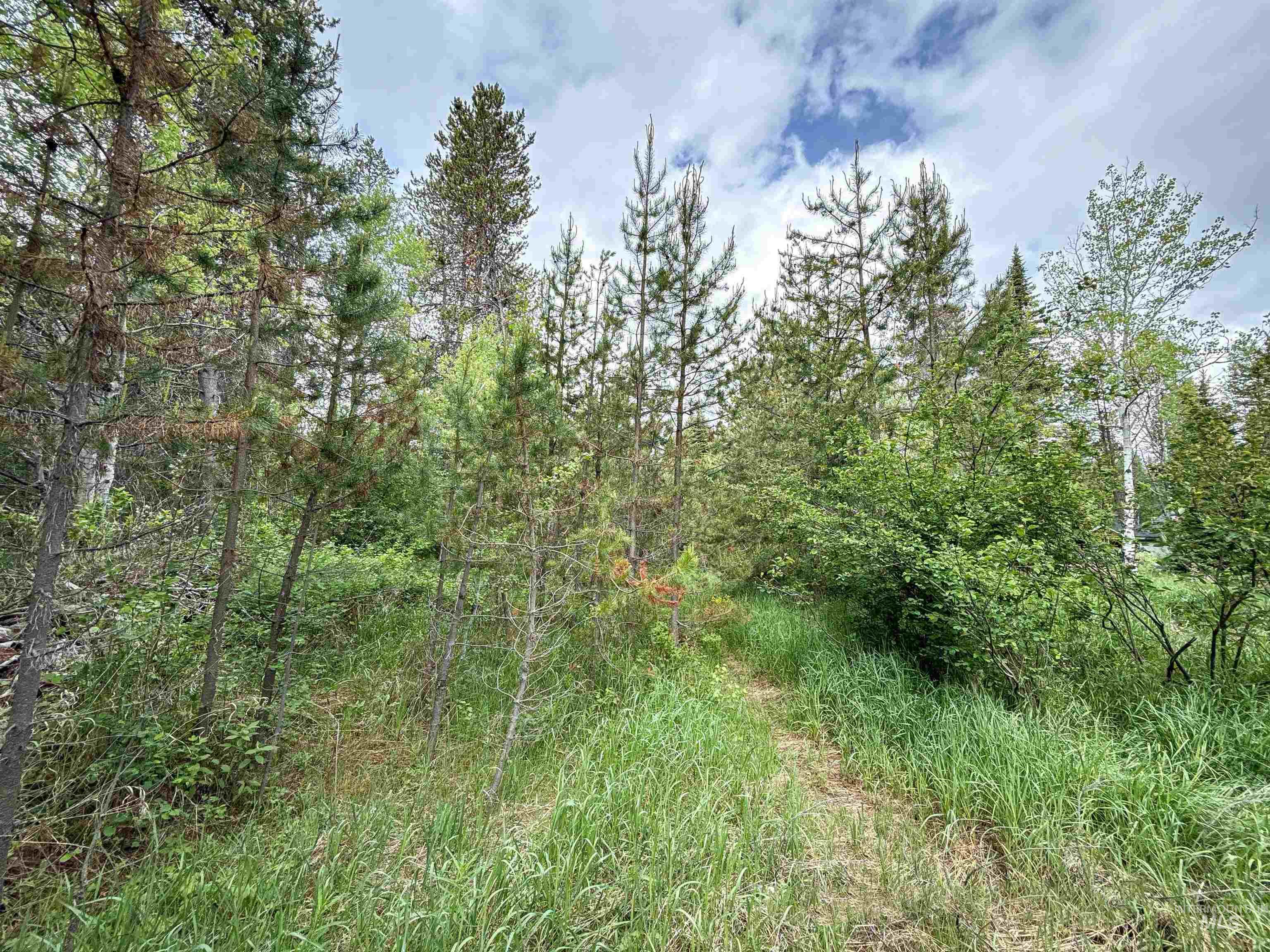 118 Westwind Ln, Donnelly, Idaho 83615, Land For Sale, Price $169,000,MLS 98967094