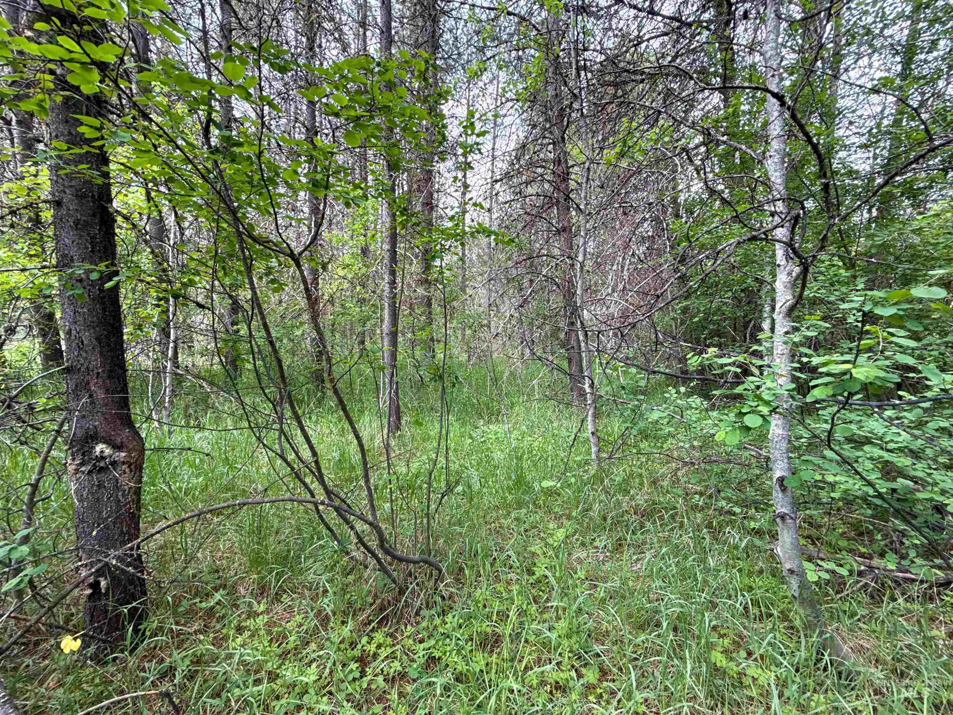 118 Westwind Ln, Donnelly, Idaho 83615, Land For Sale, Price $169,000,MLS 98967094