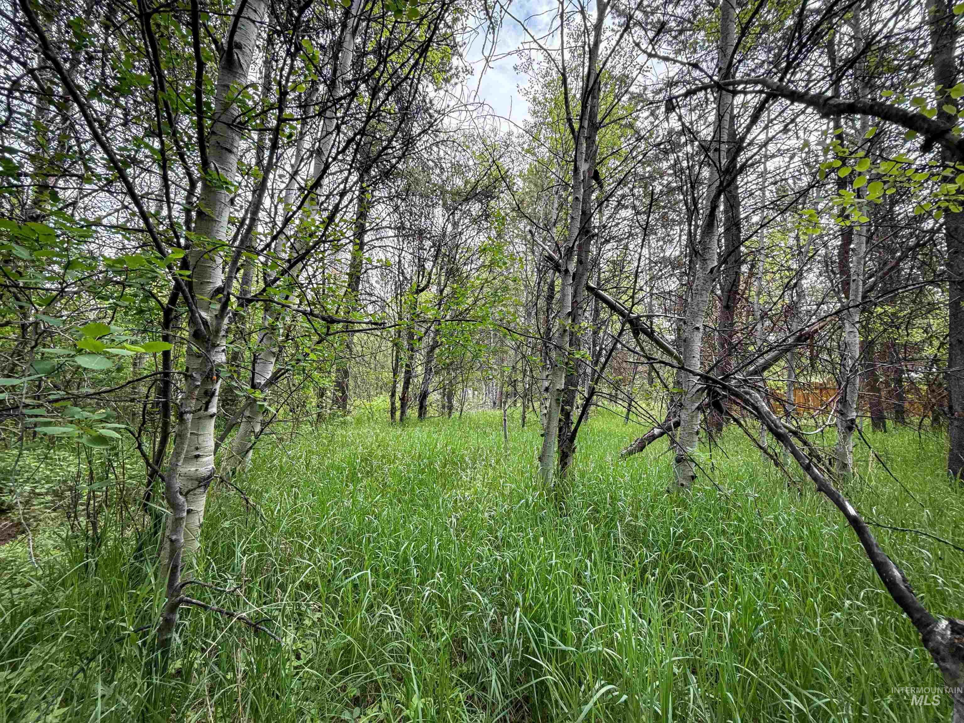 118 Westwind Ln, Donnelly, Idaho 83615, Land For Sale, Price $169,000,MLS 98967094