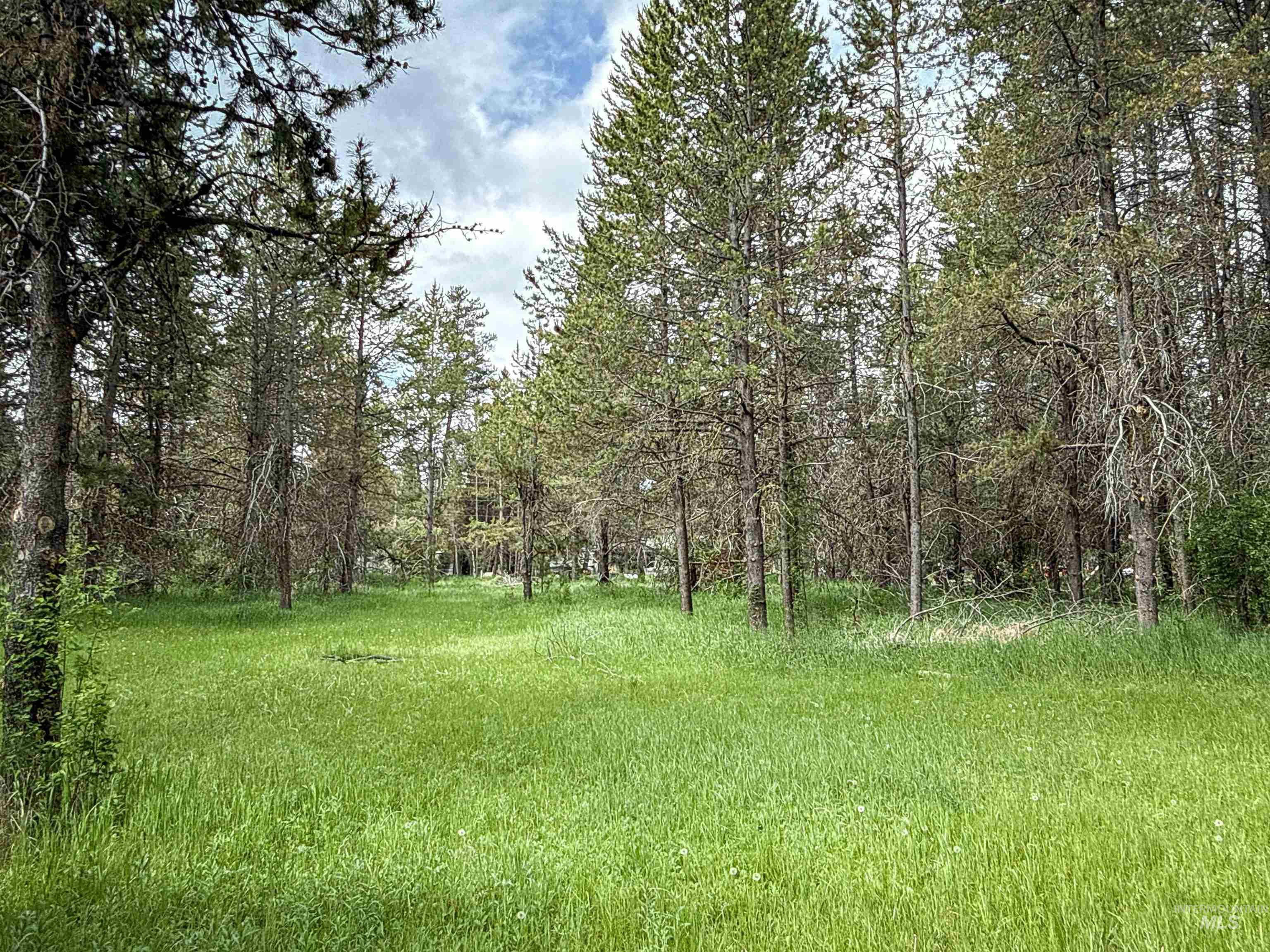 118 Westwind Ln, Donnelly, Idaho 83615, Land For Sale, Price $169,000,MLS 98967094