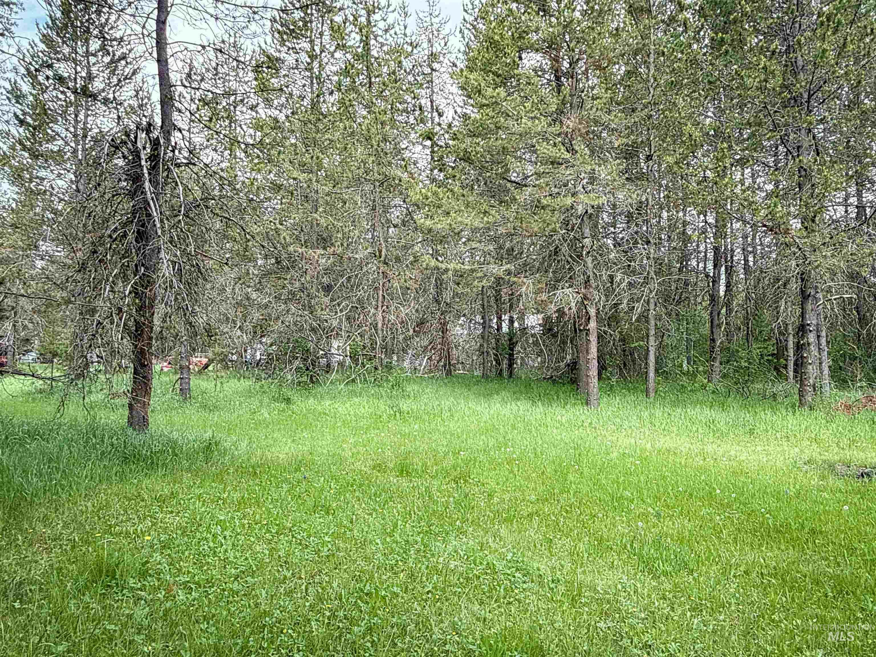 118 Westwind Ln, Donnelly, Idaho 83615, Land For Sale, Price $169,000,MLS 98967094