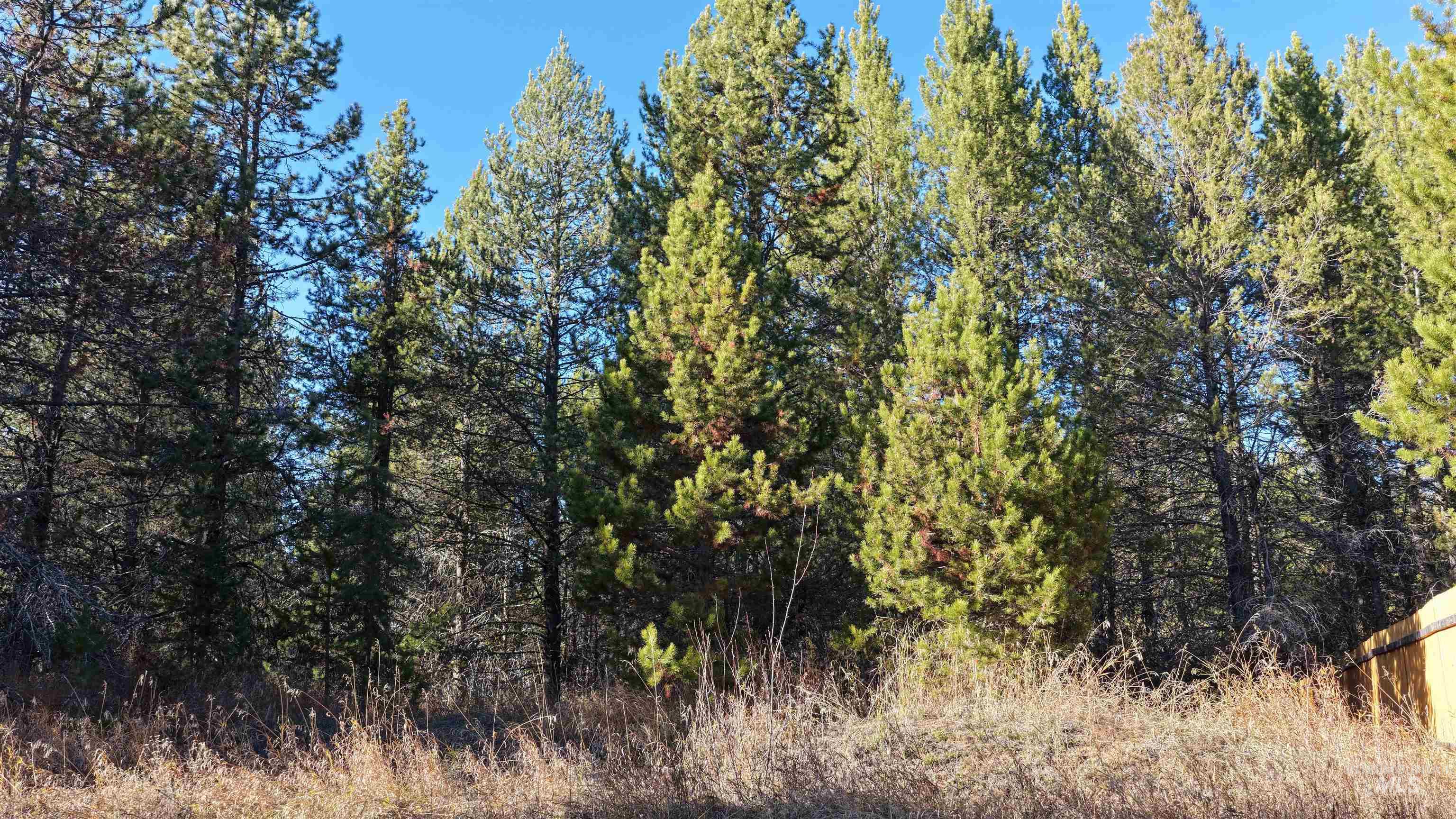 118 Westwind Ln, Donnelly, Idaho 83615, Land For Sale, Price $239,000,MLS 98967094