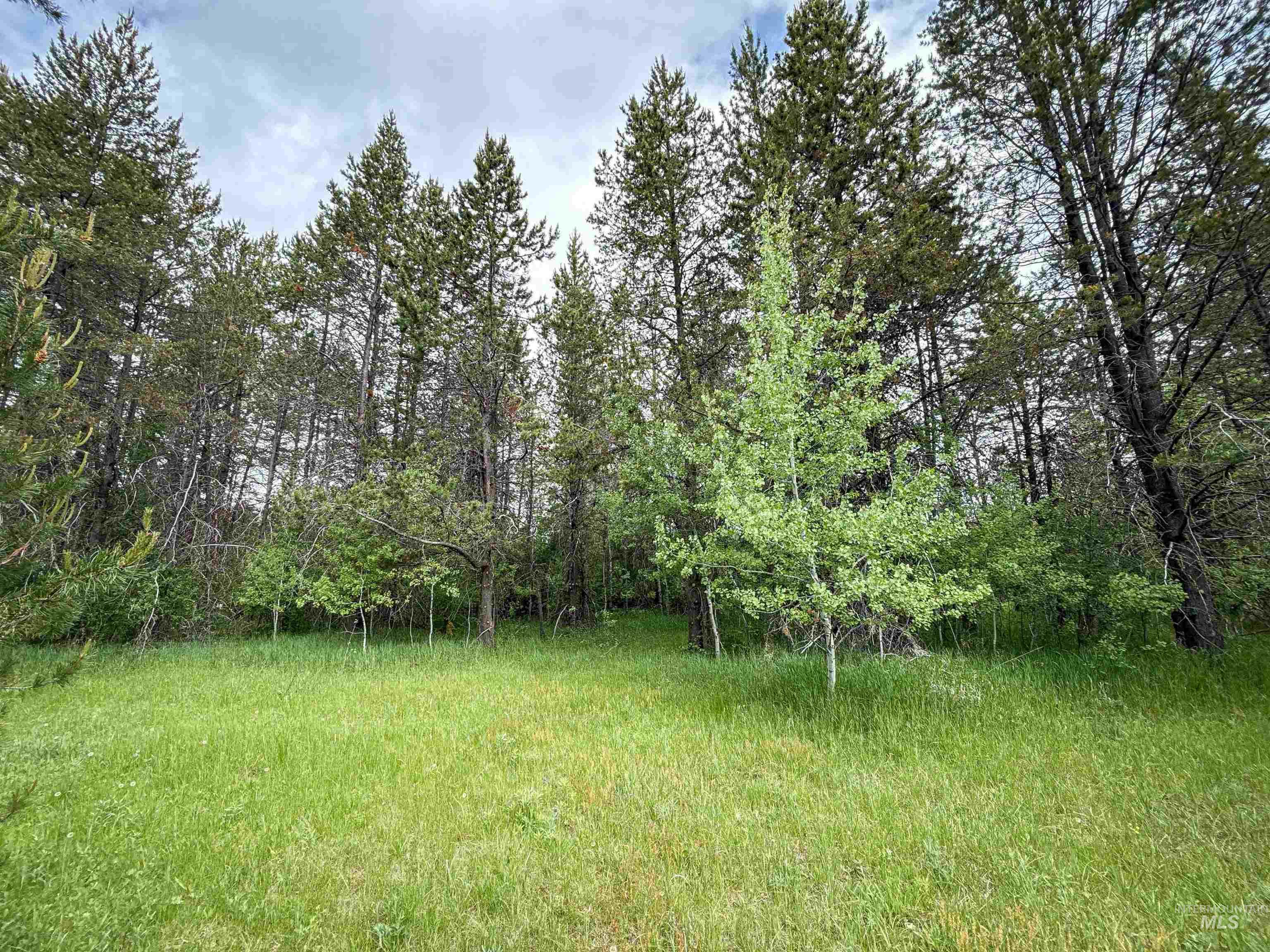 118 Westwind Ln, Donnelly, Idaho 83615, Land For Sale, Price $169,000,MLS 98967094