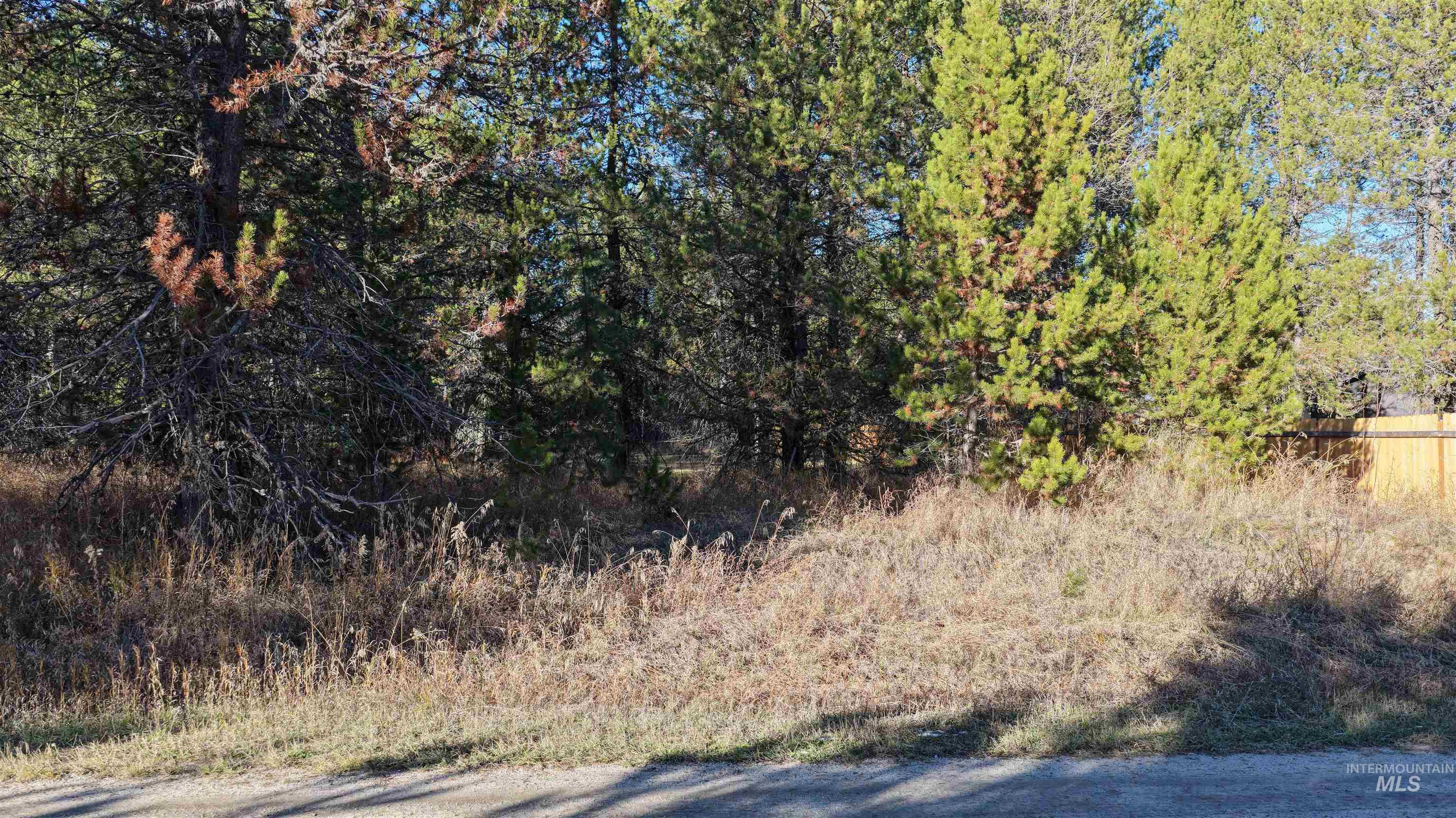 118 Westwind Ln, Donnelly, Idaho 83615, Land For Sale, Price $239,000,MLS 98967094