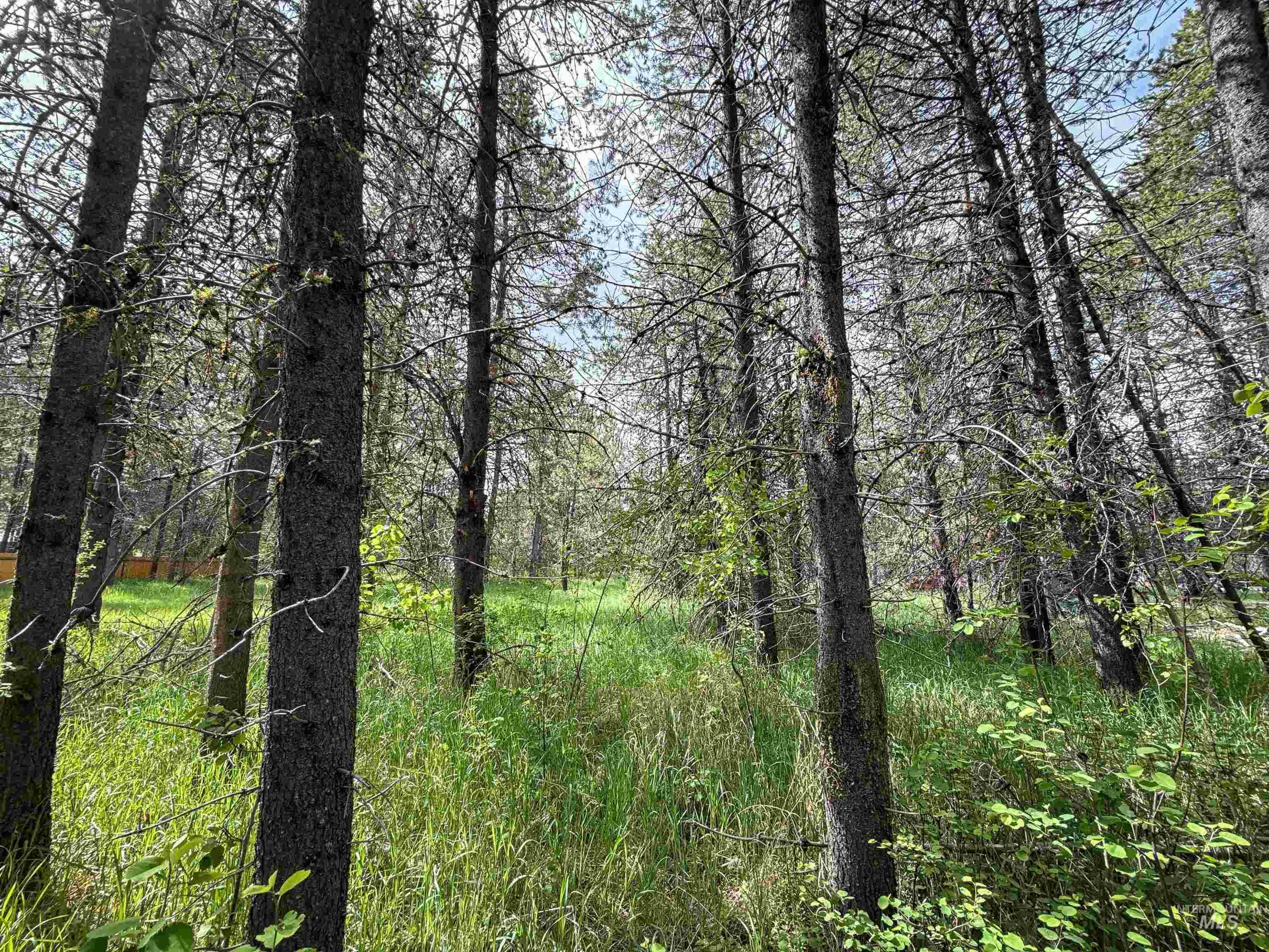 118 Westwind Ln, Donnelly, Idaho 83615, Land For Sale, Price $169,000,MLS 98967094