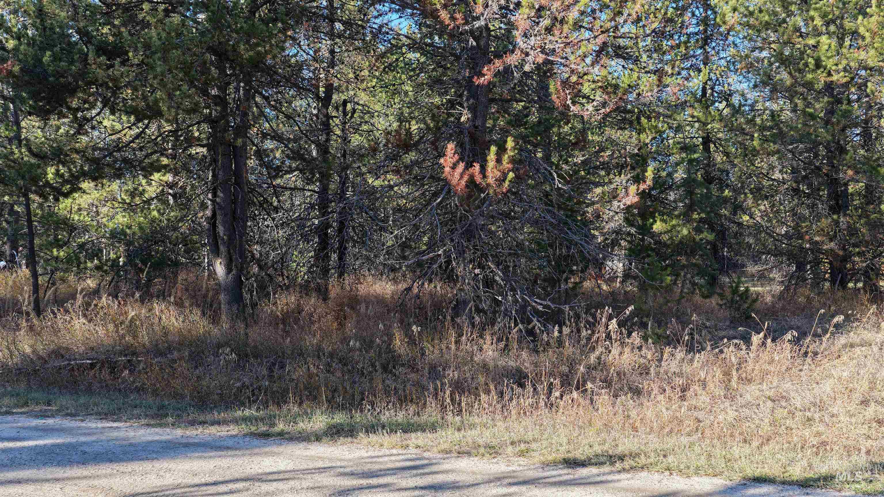 118 Westwind Ln, Donnelly, Idaho 83615, Land For Sale, Price $239,000,MLS 98967094