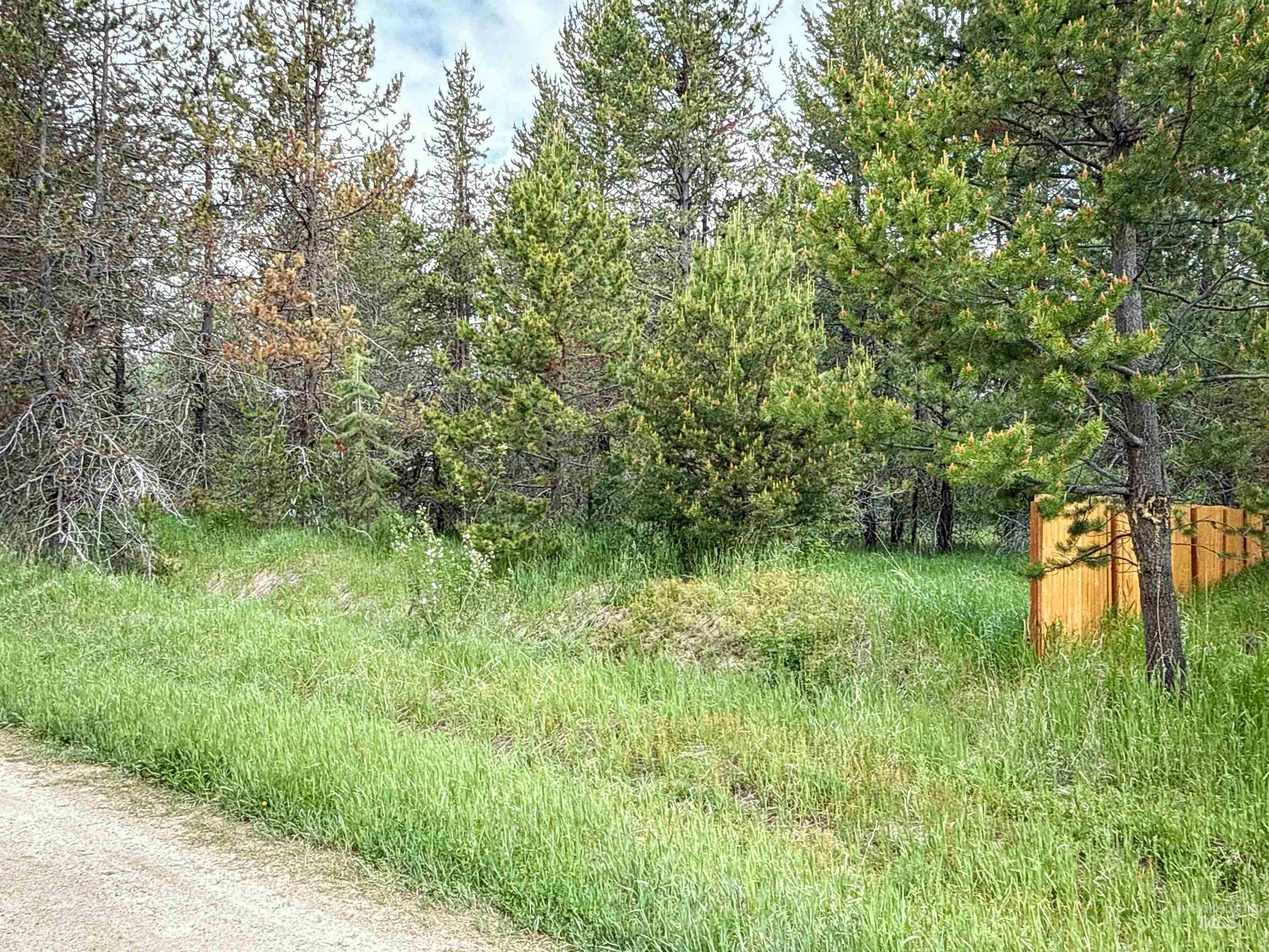 118 Westwind Ln, Donnelly, Idaho 83615, Land For Sale, Price $169,000,MLS 98967094