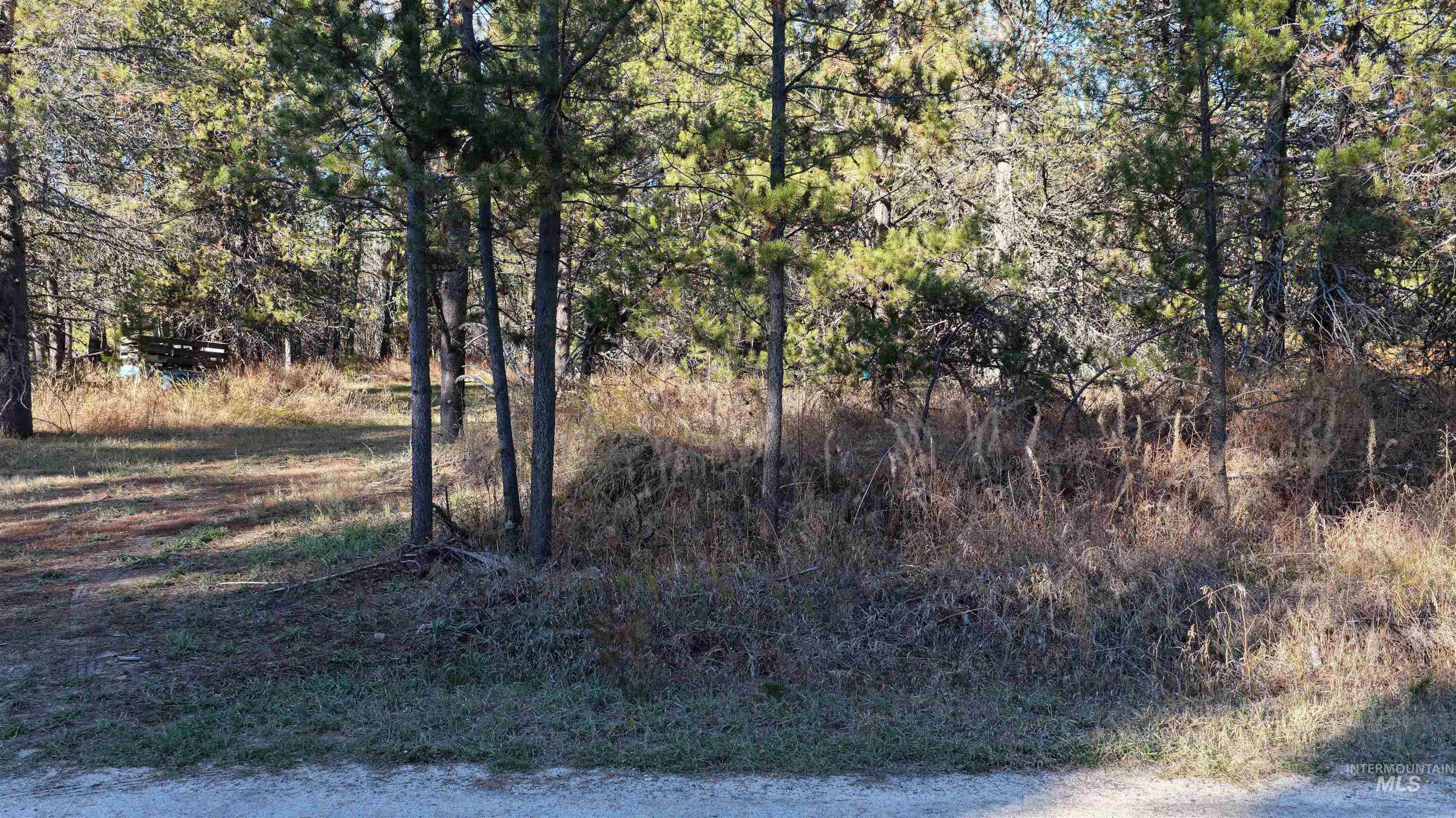 118 Westwind Ln, Donnelly, Idaho 83615, Land For Sale, Price $239,000,MLS 98967094