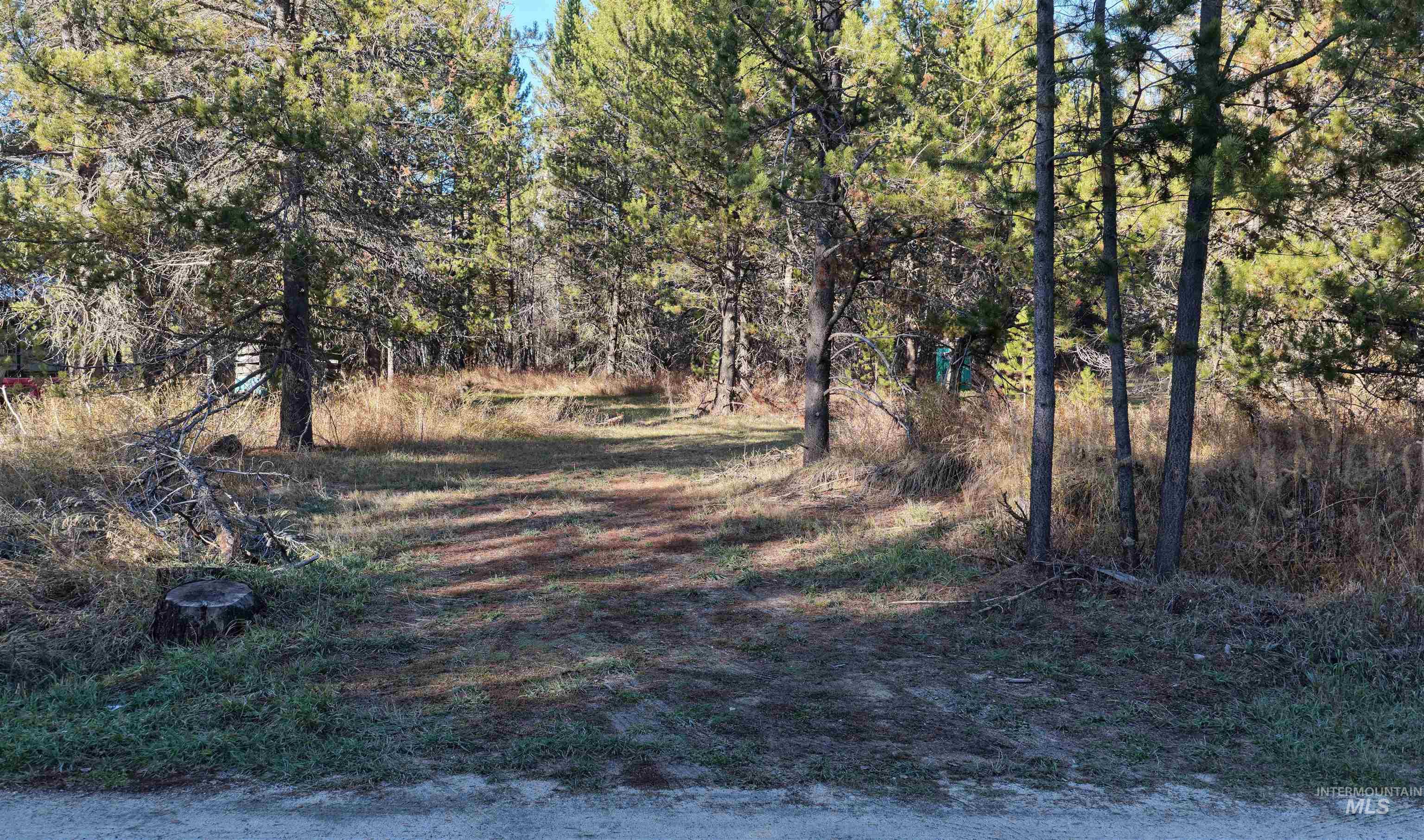 118 Westwind Ln, Donnelly, Idaho 83615, Land For Sale, Price $239,000,MLS 98967094