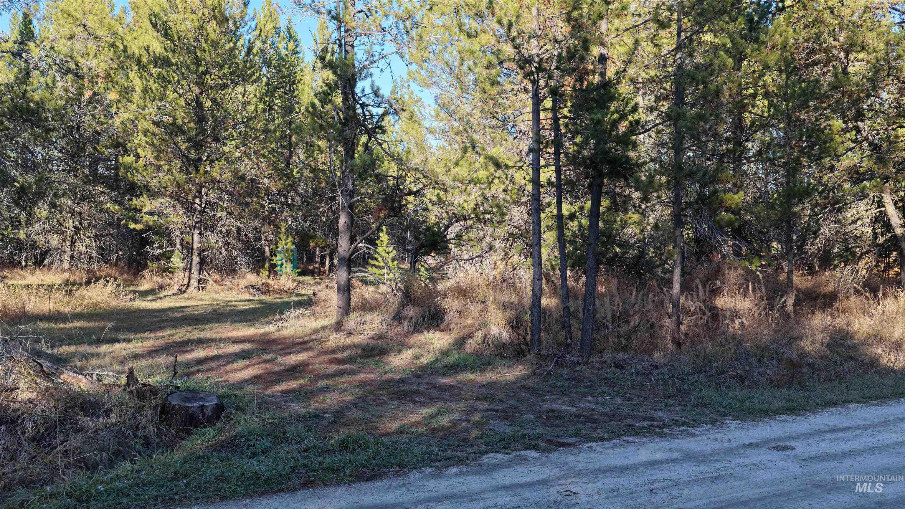 118 Westwind Ln, Donnelly, Idaho 83615, Land For Sale, Price $239,000,MLS 98967094