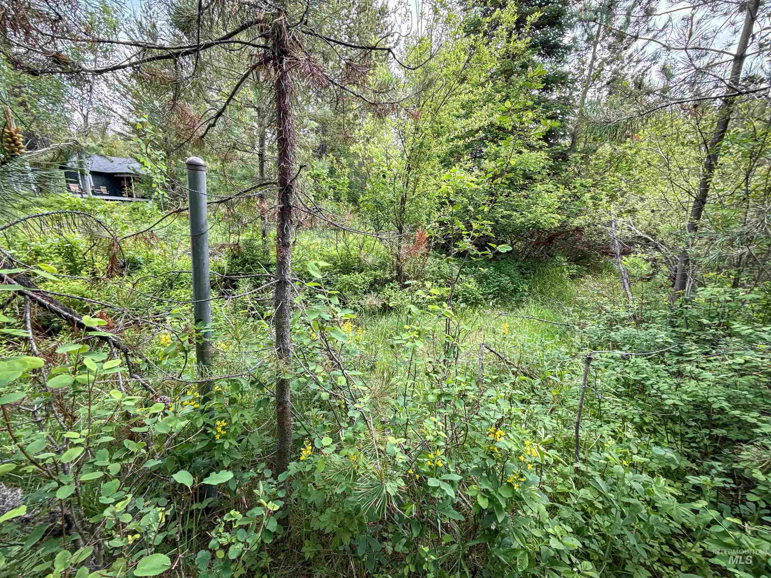 118 Westwind Ln, Donnelly, Idaho 83615, Land For Sale, Price $169,000,MLS 98967094