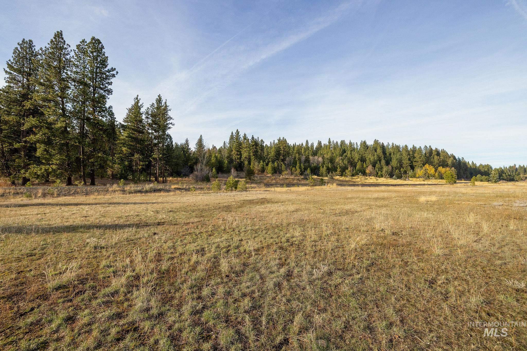 18 Arrowgrass Way, McCall, Idaho 83638, Land For Sale, Price $185,000,MLS 98967104